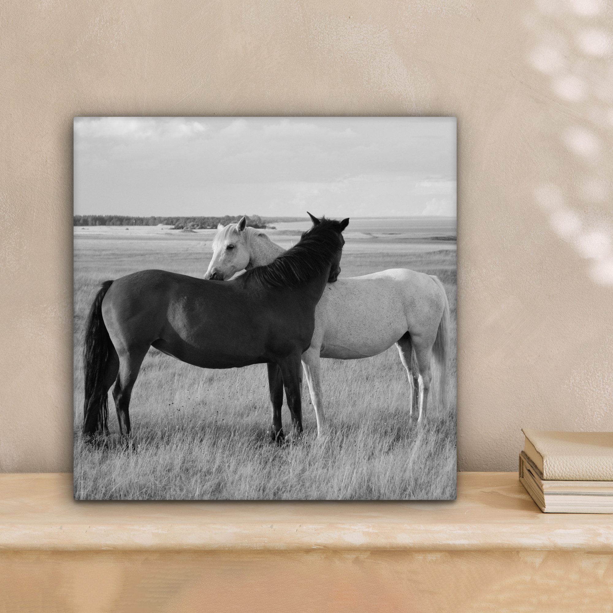 OneMillionCanvasses® Leinwandbild Pferde - Tiere - Porträt - Schwarz-Weiß - günstig online kaufen