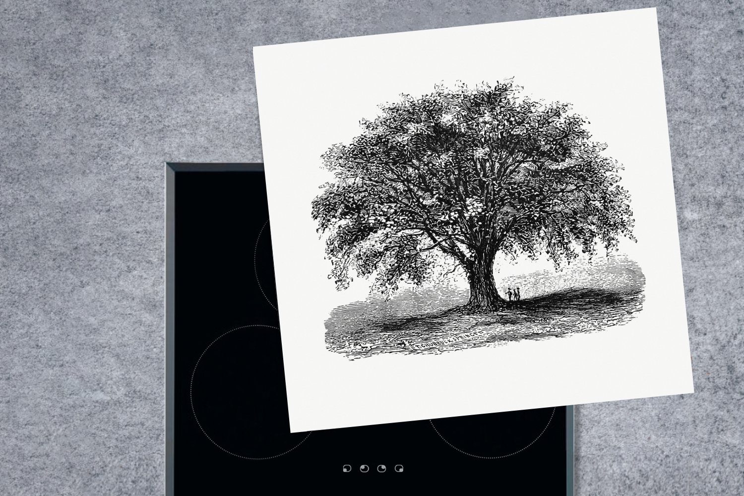 küche (1 Arbeitsplatte - Baum Natur, cm, Ceranfeldabdeckung, Herdblende-/Abdeckplatte für Vinyl, Jahrgang 78x78 MuchoWow - tlg),