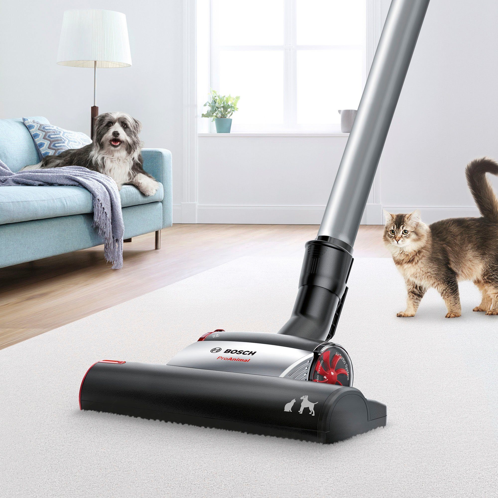 BOSCH Bodenstaubsauger Serie 6 ProAnimal BGC41PET, ideal für Tierhaare, Hygiene-Filter, 750 W, beutellos, 10 Jahre Motorgarantie, für Parkett/Teppich/Fliesen, T – Bild 2 von 5