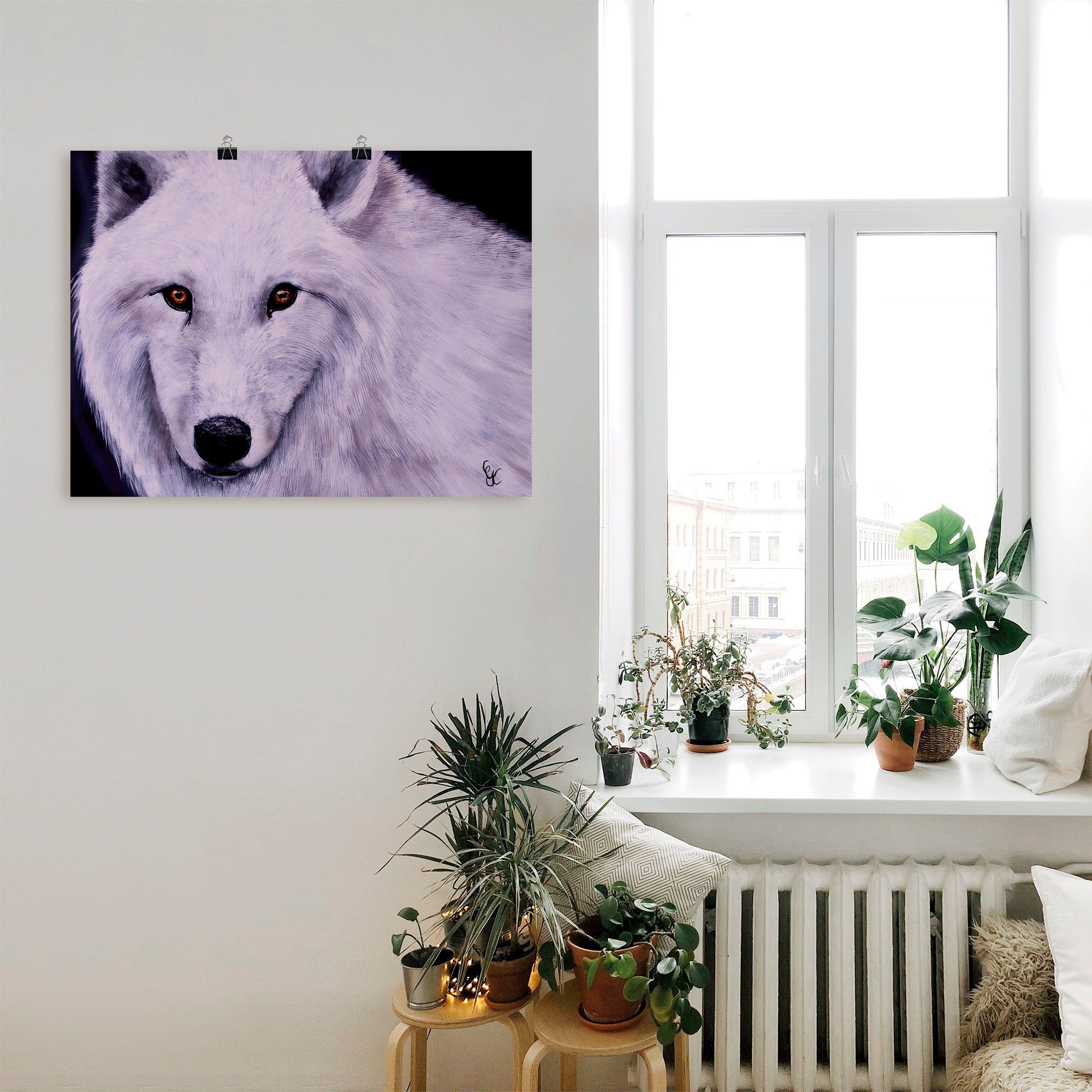 Wandaufkleber Weißer versch. als (1 Leinwandbild, Wandbild Wildtiere Poster Wolf, St), in Größen Artland oder Alubild,