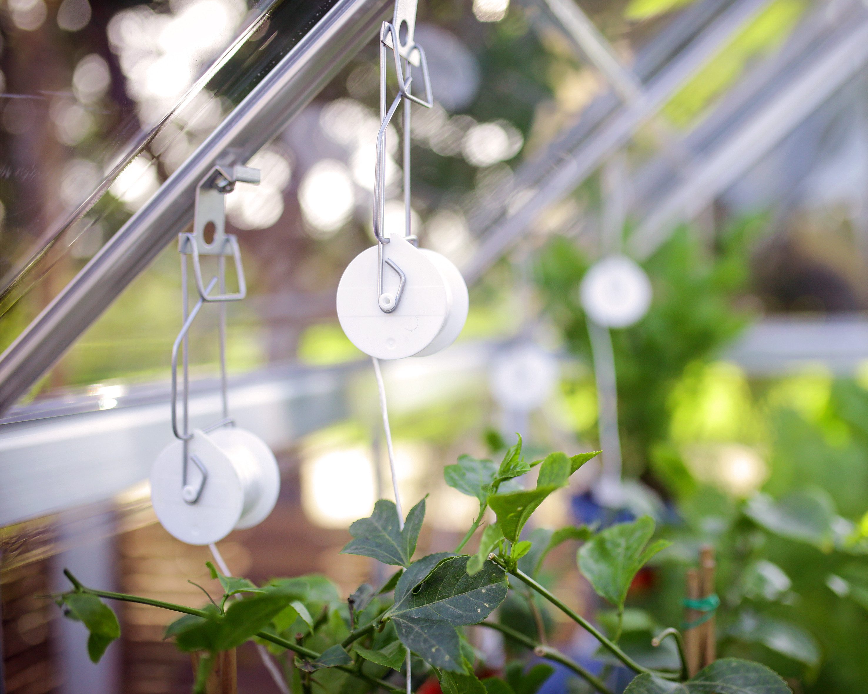 Palram - Canopia Gewächshaus Rankhilfe-Set, lebenslang widerstandsfähige Wandpaneele