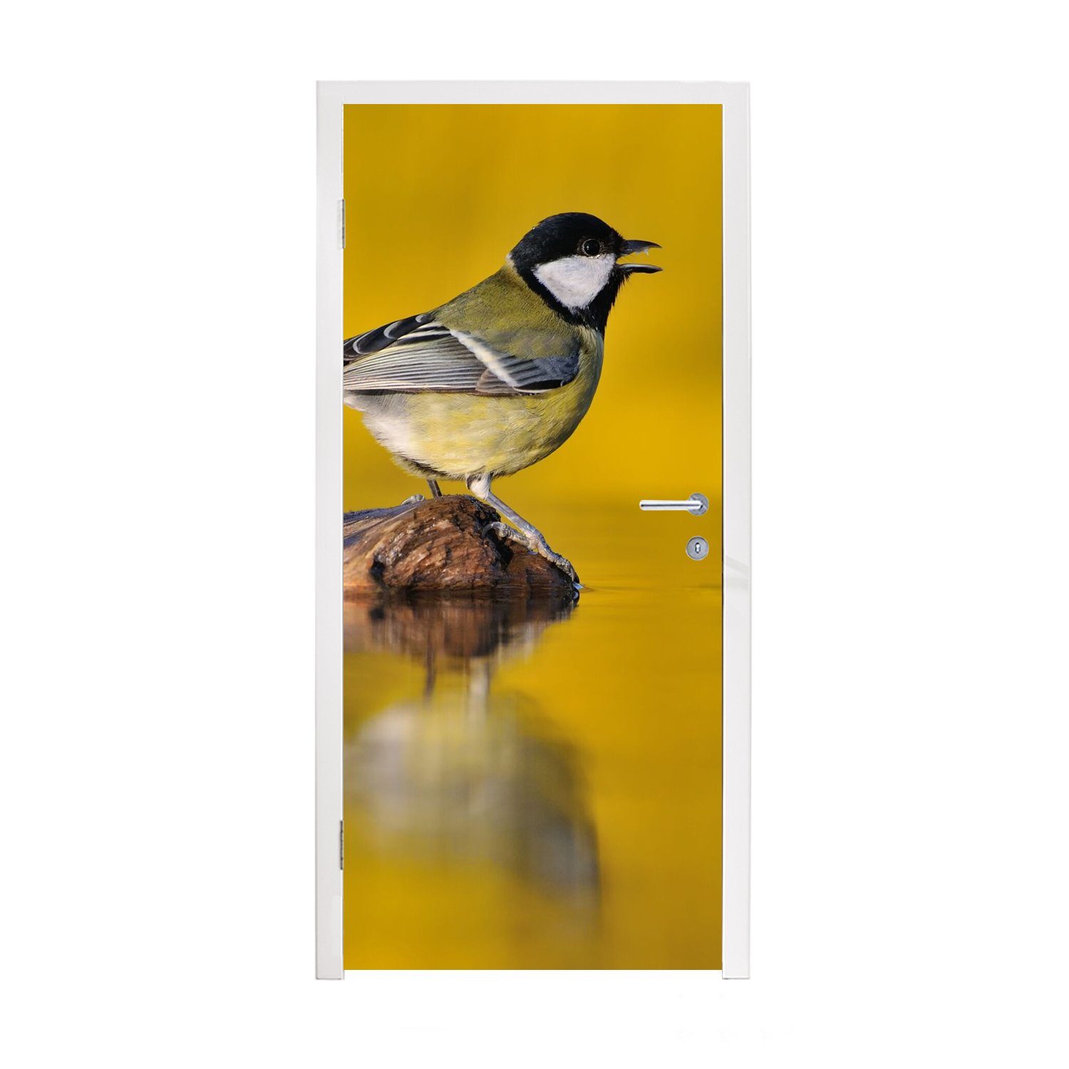 MuchoWow Türtapete Kohlmeise - Vogel Wasser, Tür, (1 Türaufkleber, für cm bedruckt, 75x205 St), Fototapete Matt, 
