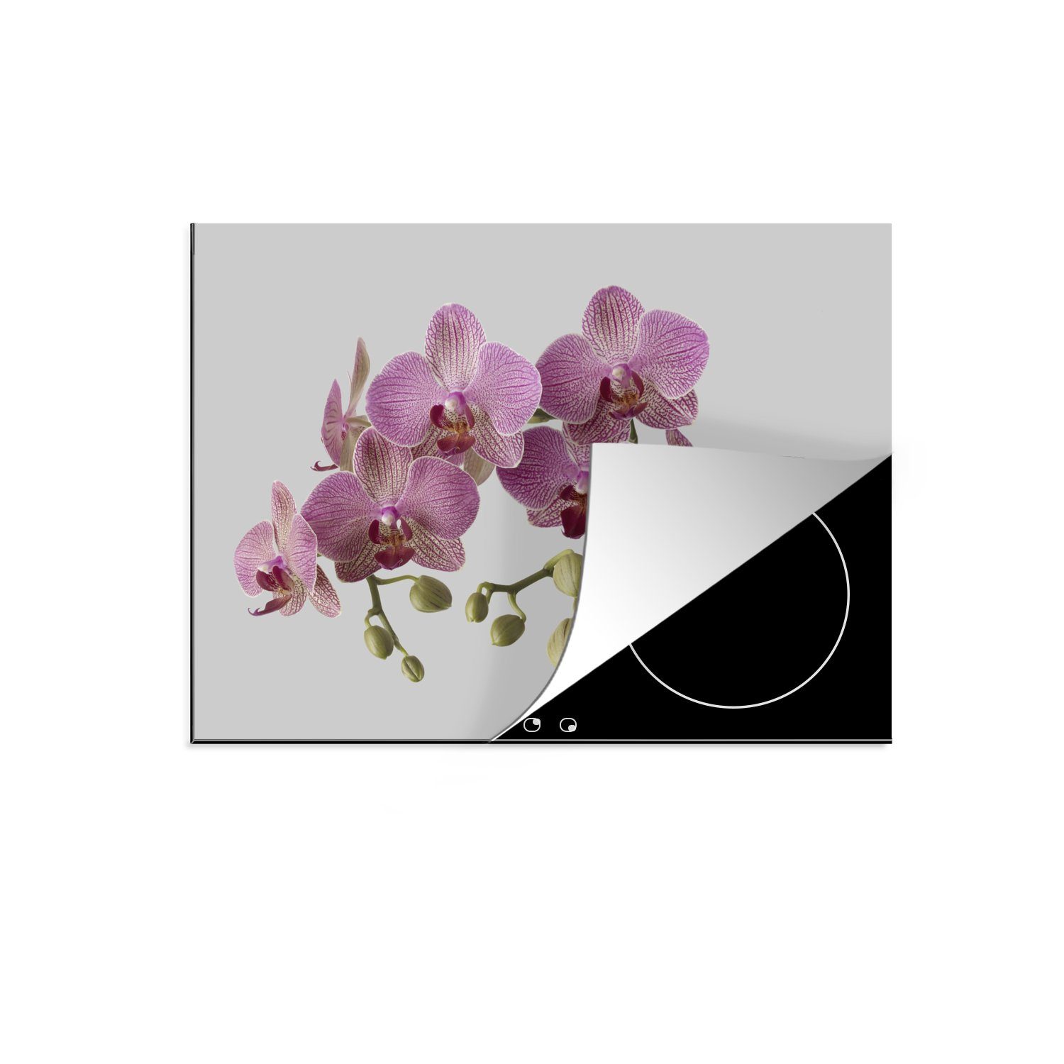 MuchoWow Herdblende-/Abdeckplatte 70x52 cm, tlg), Vinyl, auf Mobile Hintergrund, (1 Rosa grauem nutzbar, Ceranfeldabdeckung Orchideen Arbeitsfläche