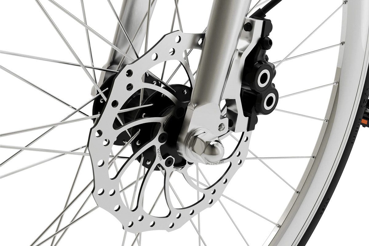 Tongtong E-Bike WATT BROOKLYN, 36V 10.5AH SAMSUNG battery 378 Wh, für Damen und Herren, Stadtetauglich, silver, Rahmenhöhe: 54cm