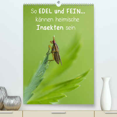 CALVENDO Wandkalender So EDEL und FEIN... können heimische Insekten sein (Premium, hochwertiger DIN A2 Wandkalender 2023, Kunstdruck in Hochglanz)