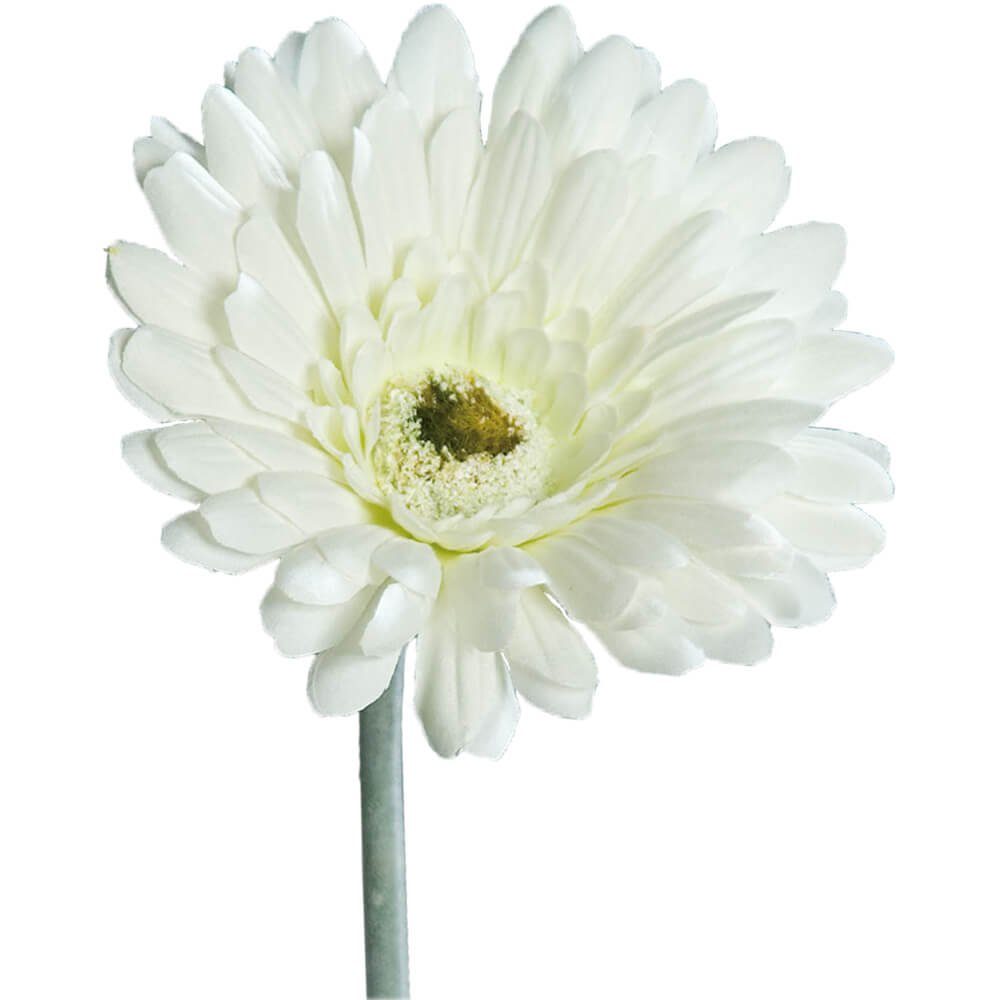 Kunstblume Gerbera Kunstblumen Blüten 1 Stk 56 cm cremeweiß Gerbera, matches21 HOME & HOBBY, Höhe 56 cm, Indoor cremefarben