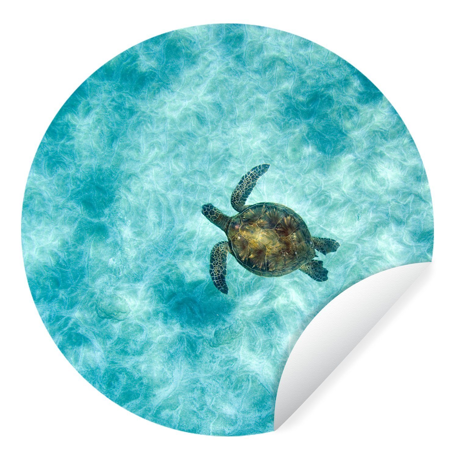 MuchoWow Wandsticker Schildkröte im Meer (1 St), Tapetenkreis für Kinderzimmer, Tapetenaufkleber, Rund, Wohnzimmer