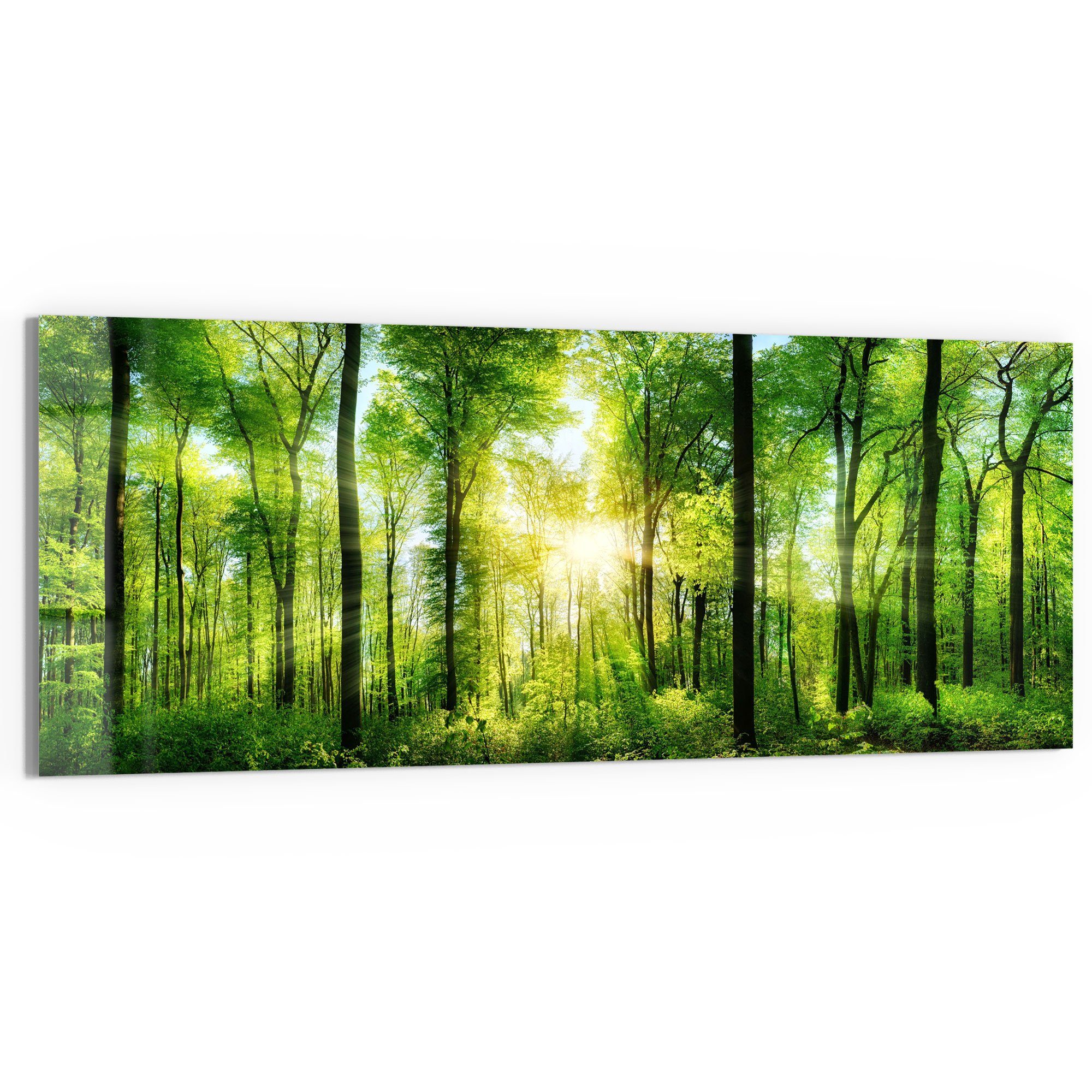 DEQORI Glasbild 'Sonne durchbricht Wald', 'Sonne günstig online kaufen