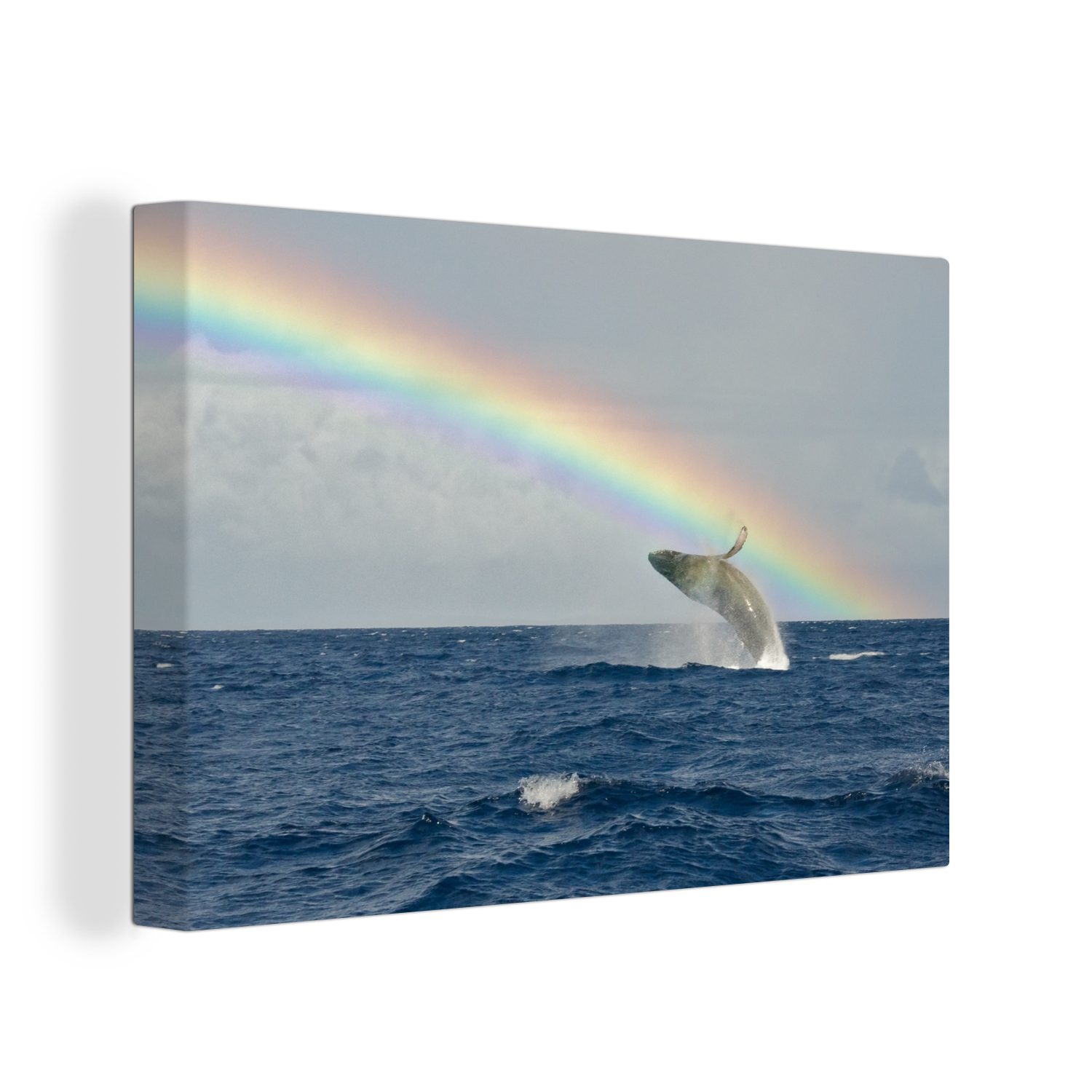 OneMillionCanvasses® Leinwandbild Ein Buckelwal springt unter einem Regenbogen aus dem Wasser, (1 St), Wandbild Leinwandbilder, Aufhängefertig, Wanddeko, 30x20 cm