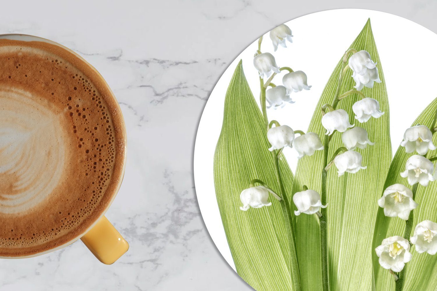 Tasse, Porträt weißen der Gläser, Ein Getränkeuntersetzer, Lilie Zubehör Korkuntersetzer, Tassenuntersetzer, der Becher für von Glasuntersetzer Dalen, 6-tlg., Blüten MuchoWow