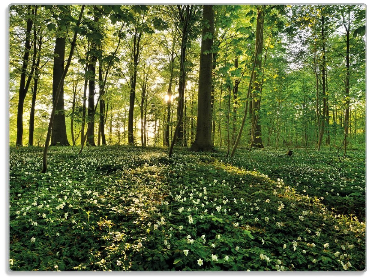 Wald, Wallario und 1-St), ESG-Sicherheitsglas, im Gummifüße Waldanemonen 4mm, (inkl. rutschfester Sonnenstrahlen 30x40cm Schneidebrett