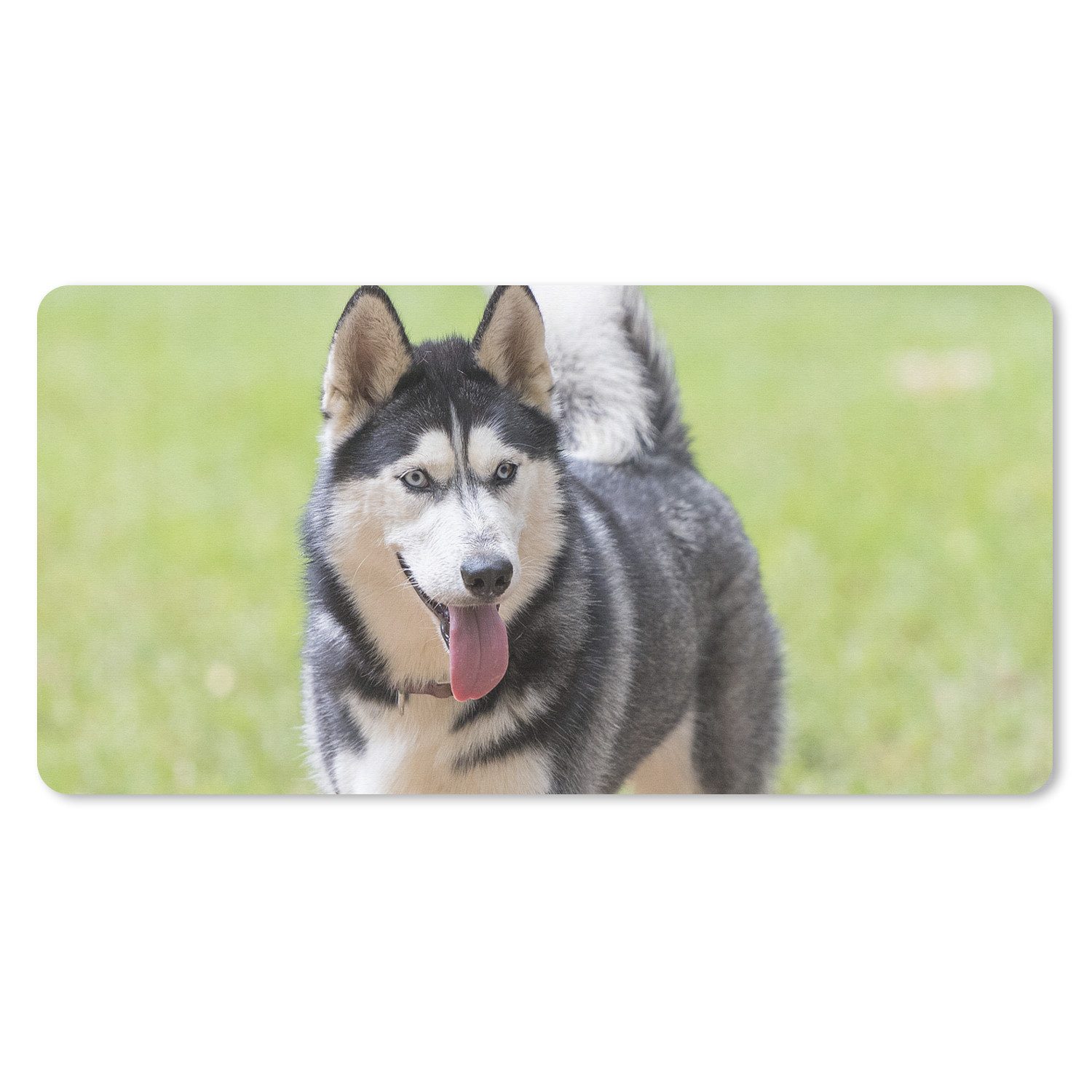 MuchoWow Mauspad Husky im Park (1-St), Mousepad mit Rutschfester Unterseite, Mausunterlage, Gaming, 60x30 cm