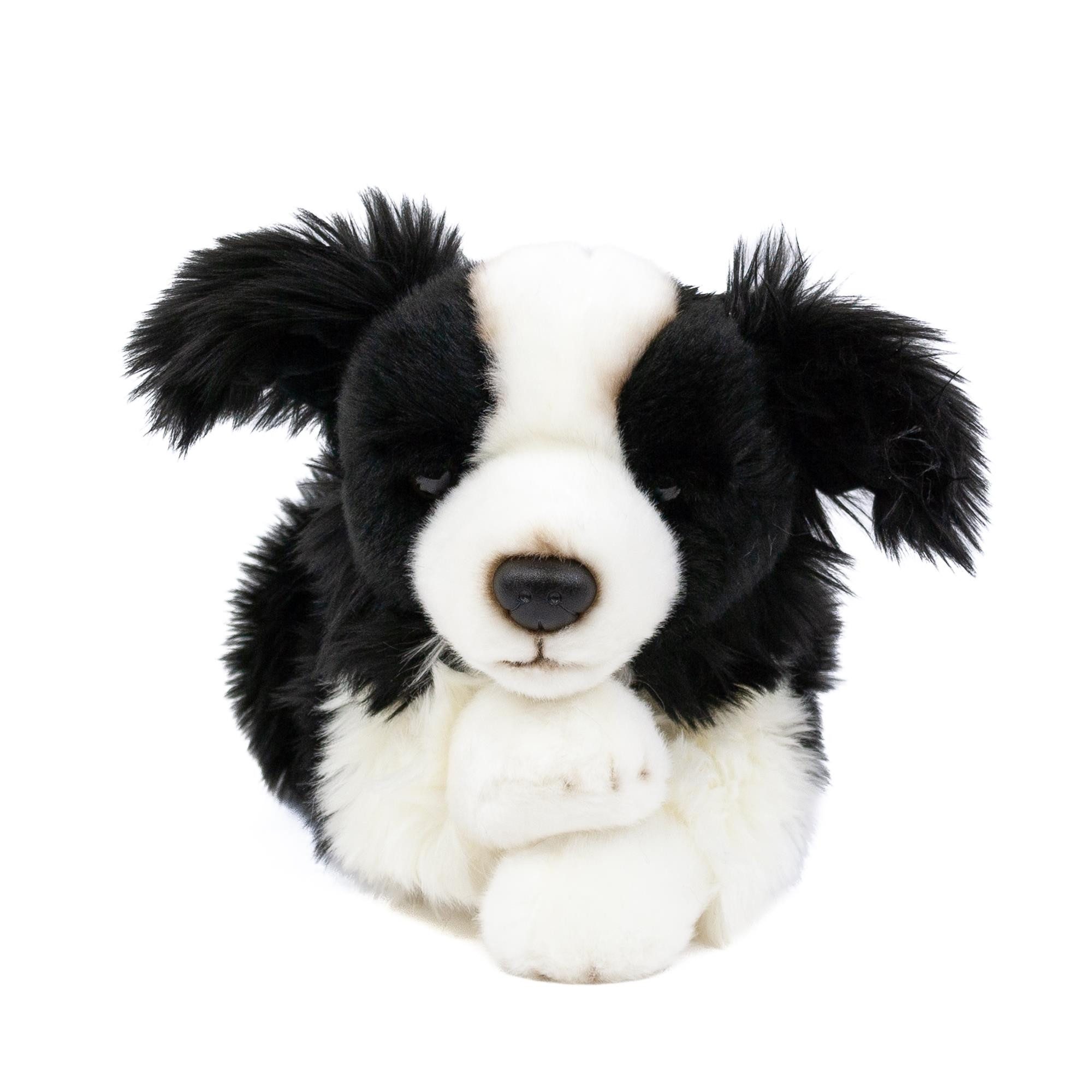 Teddys Rothenburg Kuscheltier Hund Border Collie 30 cm liegend schwarz/weiß günstig online kaufen