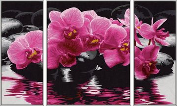Schipper Malen nach Zahlen Meisterklasse Triptychon - Orchideen, Made in Germany