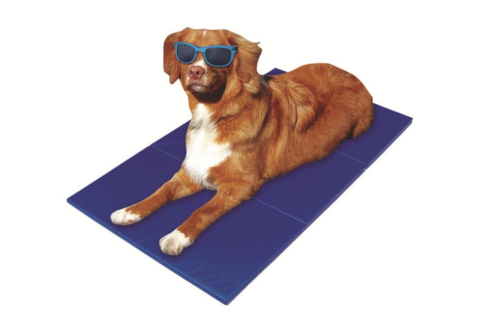 Ollesch Hundematte Selbstkühlende Matte Kühlmatte für günstig online kaufen