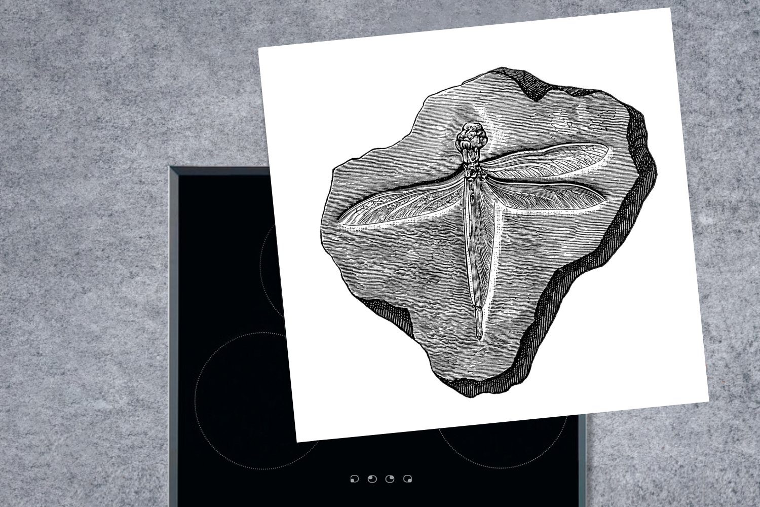 78x78 für küche in Stein, tlg), MuchoWow Vinyl, Arbeitsplatte einer versteinerten Herdblende-/Abdeckplatte Illustration Eine Libelle einem Ceranfeldabdeckung, (1 cm,