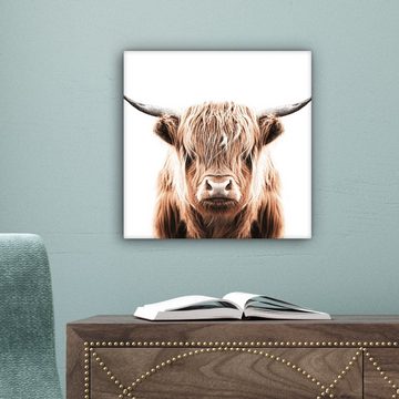 OneMillionCanvasses® Leinwandbild Tiere - Schottischer Highlander - Kuh, (1 St), Leinwand Bilder für Wohnzimmer Schlafzimmer, 20x20 cm