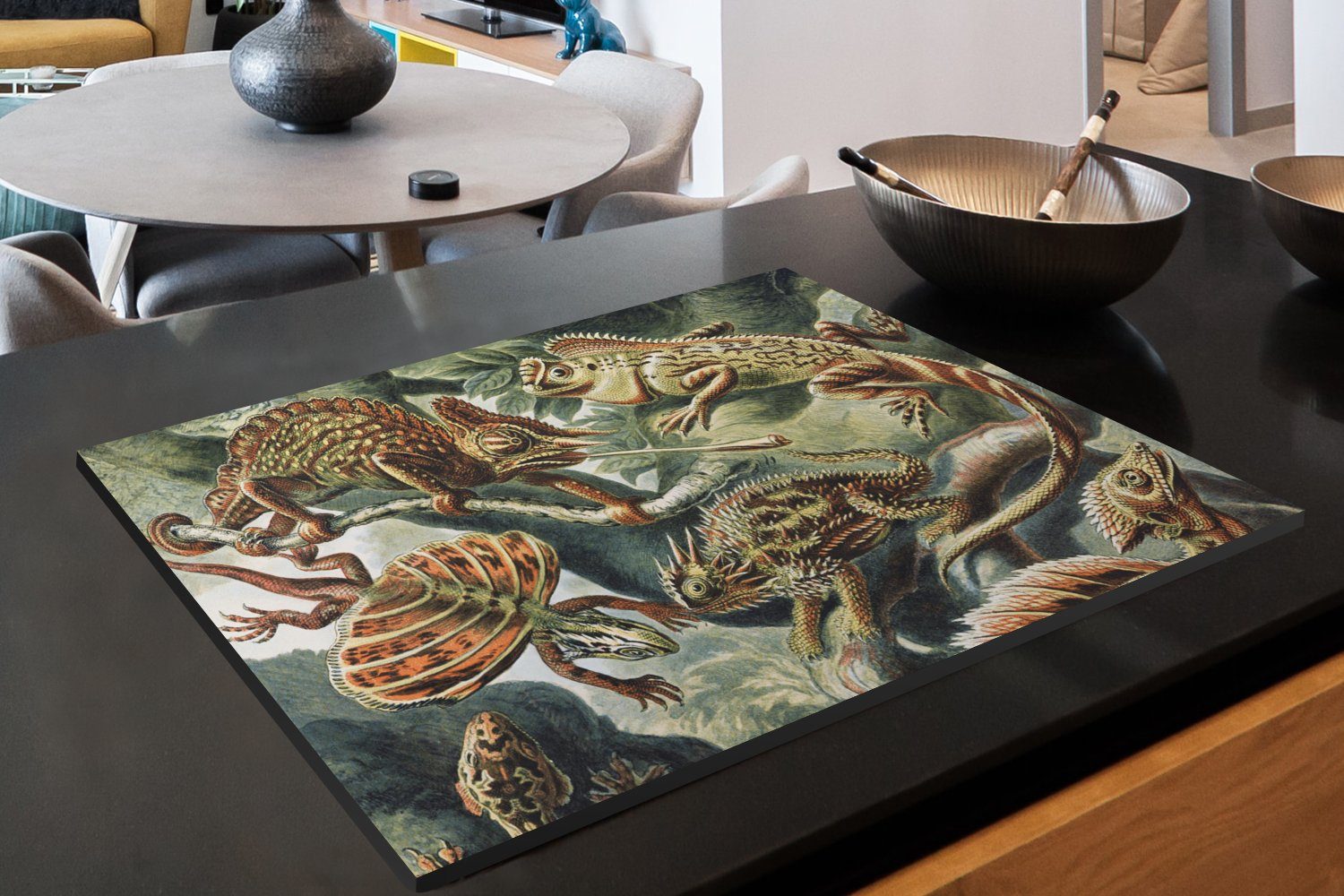 - - tlg), (1 die Jahrgang Haeckel Herdblende-/Abdeckplatte Ernst MuchoWow - Tiere, Kunst Induktionskochfeld Ceranfeldabdeckung für Schutz - Vinyl, Salamander 80x52 cm, küche,