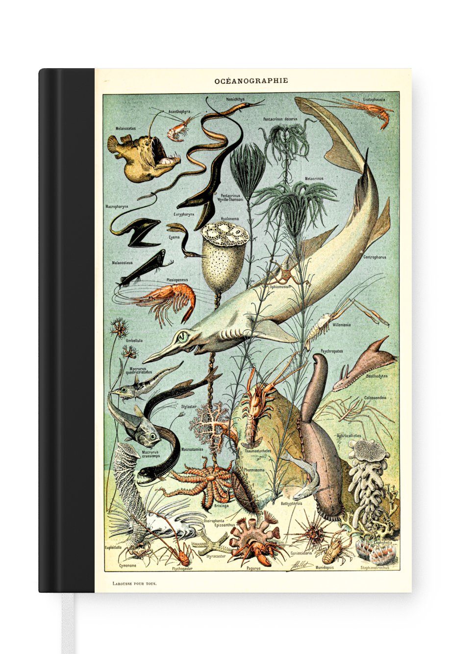 MuchoWow Notizbuch Meer - Tiere - Meeresbewohner, Journal, Merkzettel, Tagebuch, Notizheft, A5, 98 Seiten, Haushaltsbuch