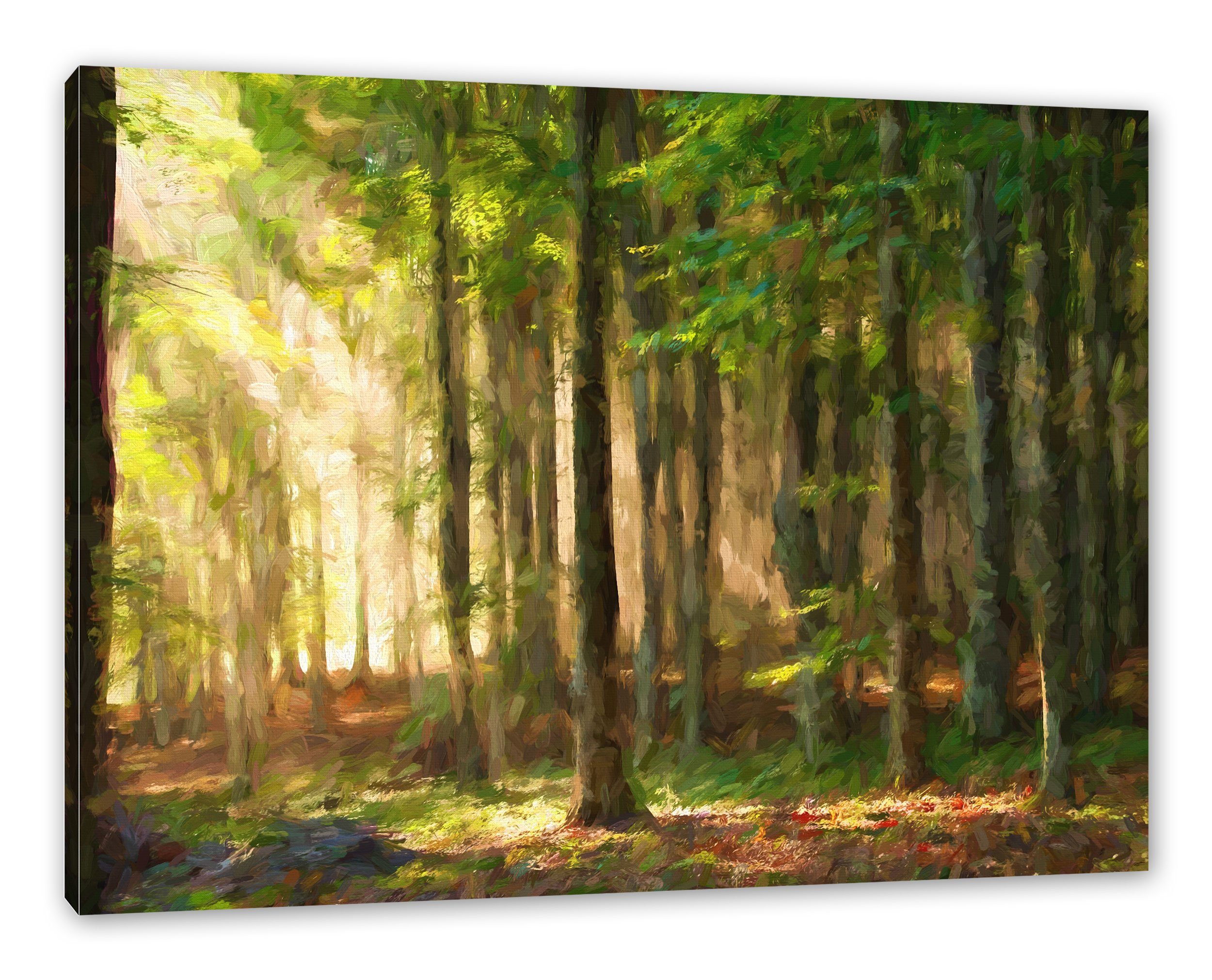 Pixxprint Leinwandbild Sonnenstrahlen im Wald, Sonnenstrahlen im Wald (1 St), Leinwandbild fertig bespannt, inkl. Zackenaufhänger