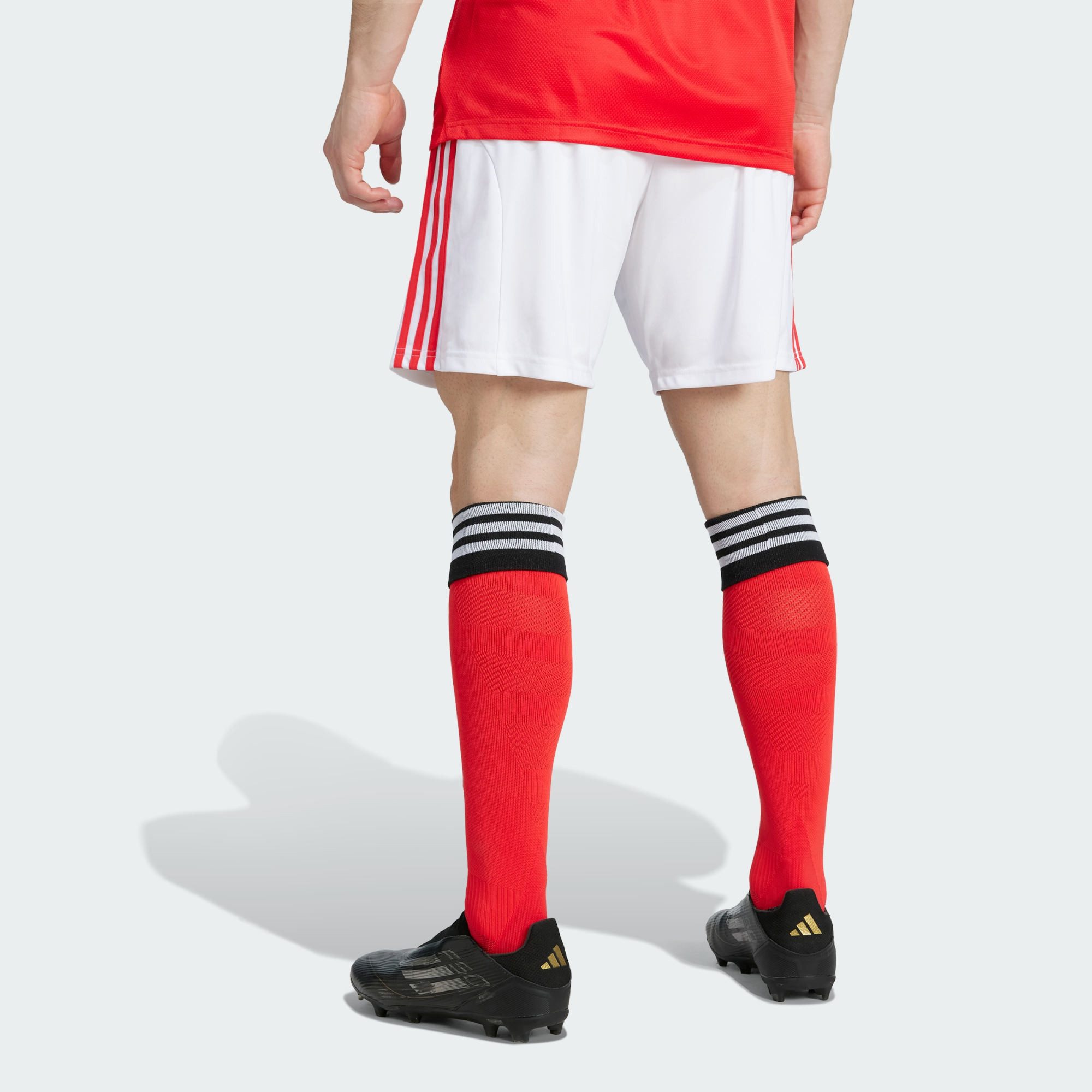 adidas Performance Shorts BENFICA LISSABON 25/26 HEIMSHORTS (1-tlg)
