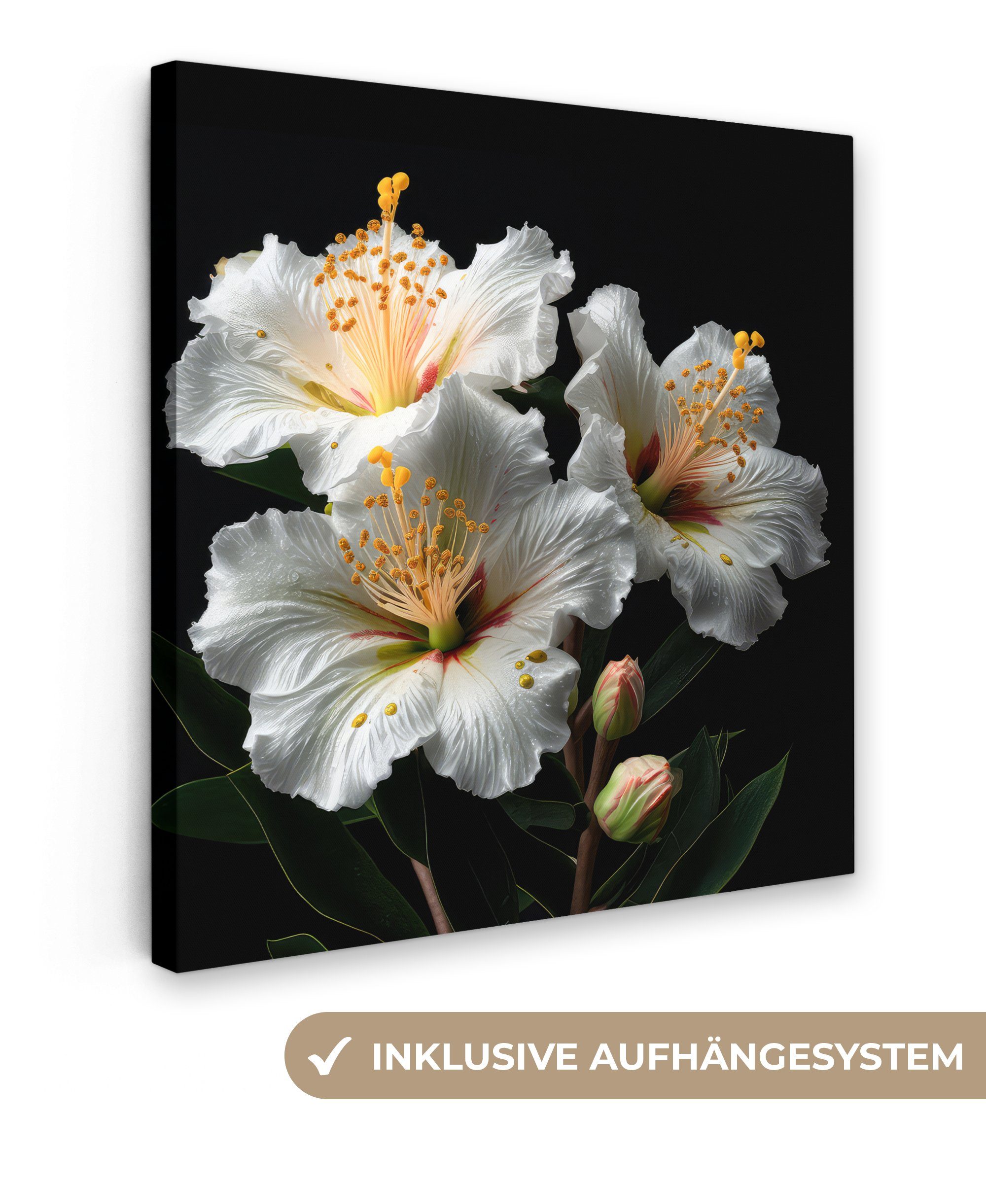 OneMillionCanvasses® Leinwandbild Blumen - Weiß - Hibiskus - Natur - Schwarz, (1 St), Leinwand Bilder für Wohnzimmer Schlafzimmer, 20x20 cm
