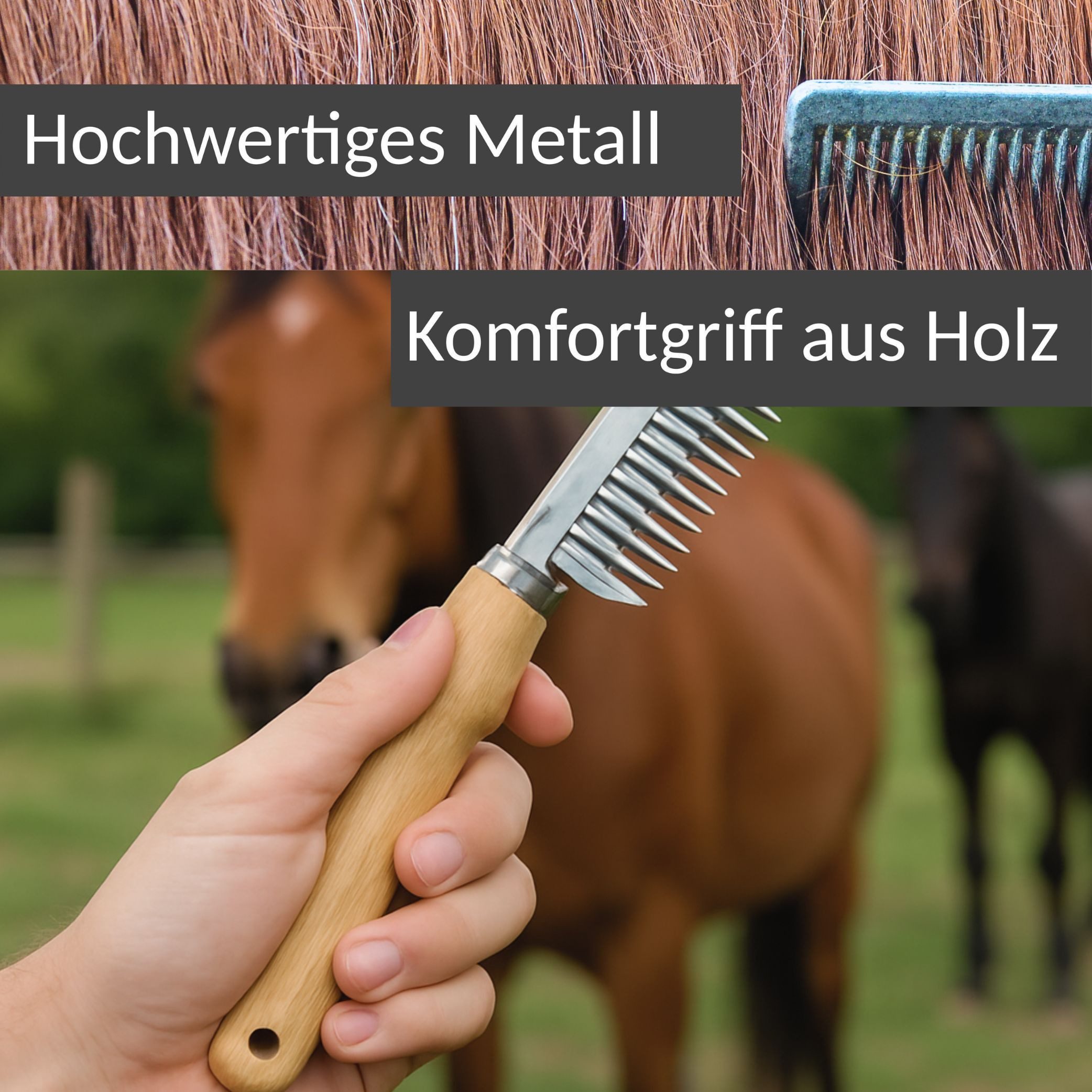 Pferdelinis Fellkamm Mähnenkamm für Pferde, Mähnenbürste aus Metall Schweifbürste Holzgriff, Metall, (1-tlg), für Pflerde