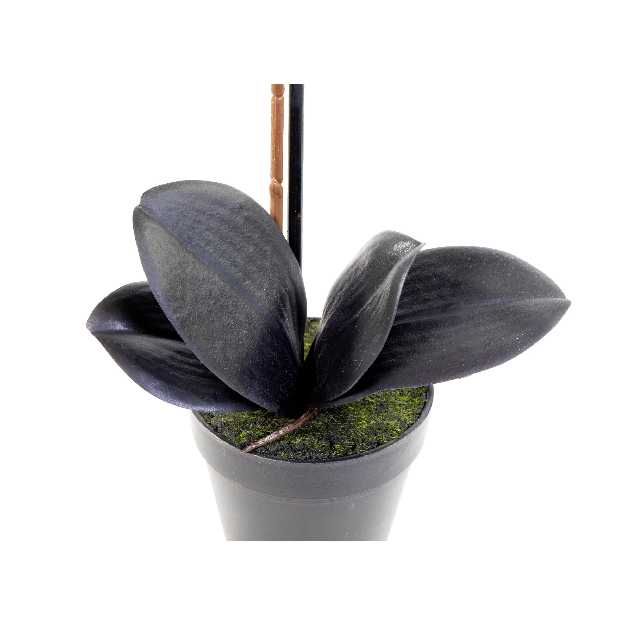 Kunstblume Orchidee Real Touch 50x20cm schwarz im Topf GA, Seidenblumen Roß, Höhe 50,00 cm – Bild 4 von 5