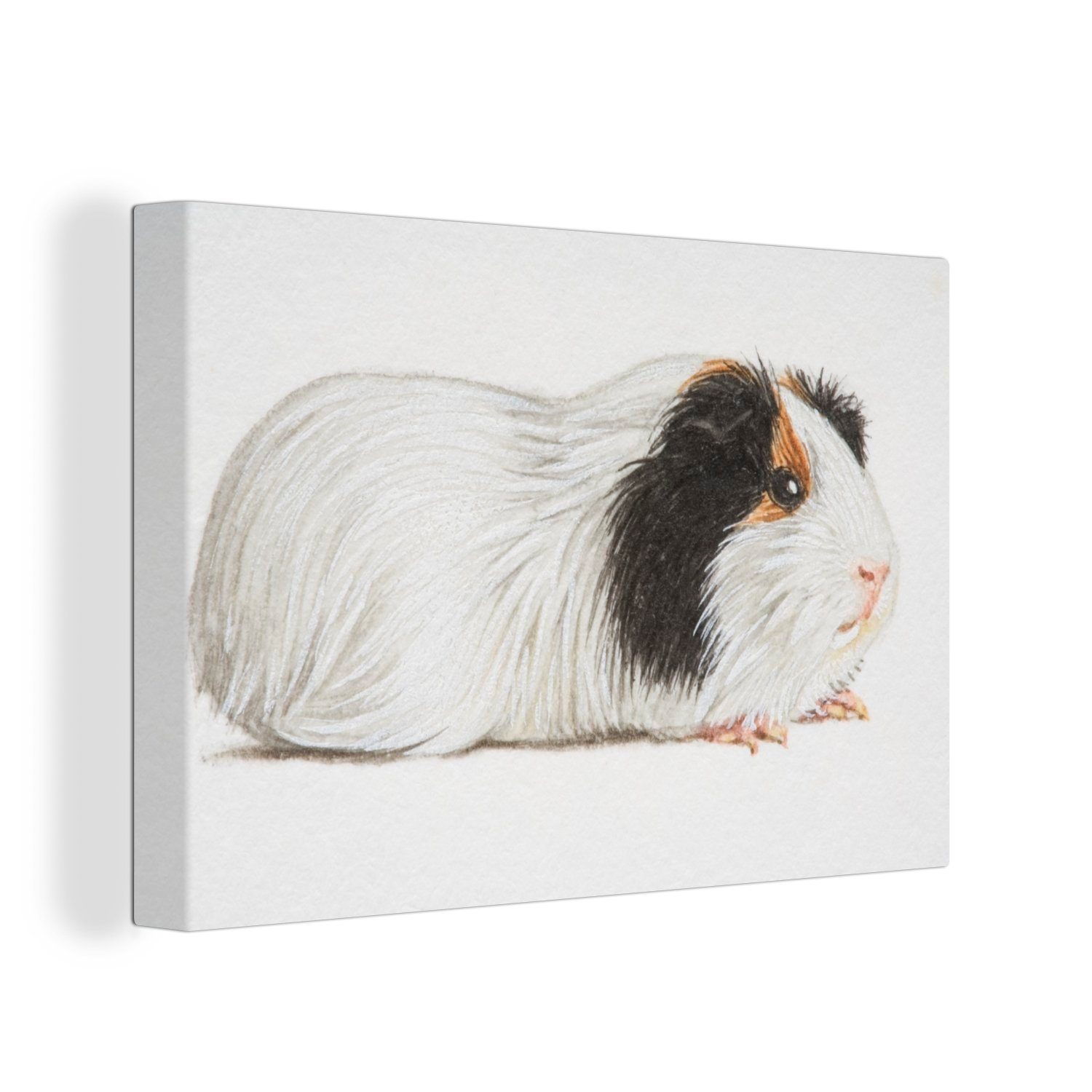 OneMillionCanvasses® Leinwandbild Eine Illustration eines Meerschweinchens mit dunklen Flecken, (1 St), Wandbild Leinwandbilder, Aufhängefertig, Wanddeko, 30x20 cm