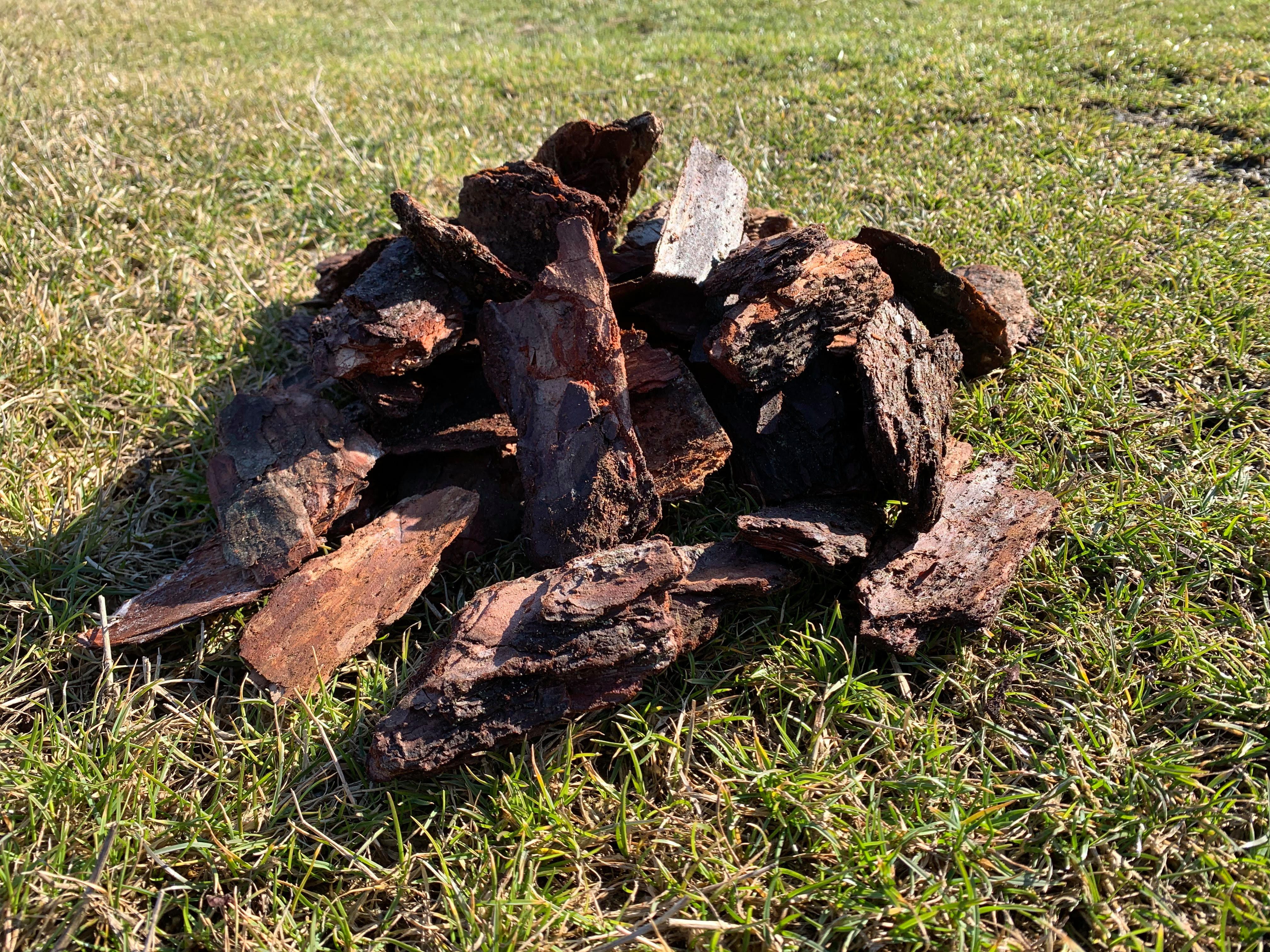 DM-Handel Pinienrinde Rindenmulch Gartenpinie 10-30 mm, 30-70 mm, 70-100 mm, (klein, mittel, grob, Piniendekor in PREMIUM Qualität), Naturprodukt, guter Schutz, vielseitig einsetzbar
