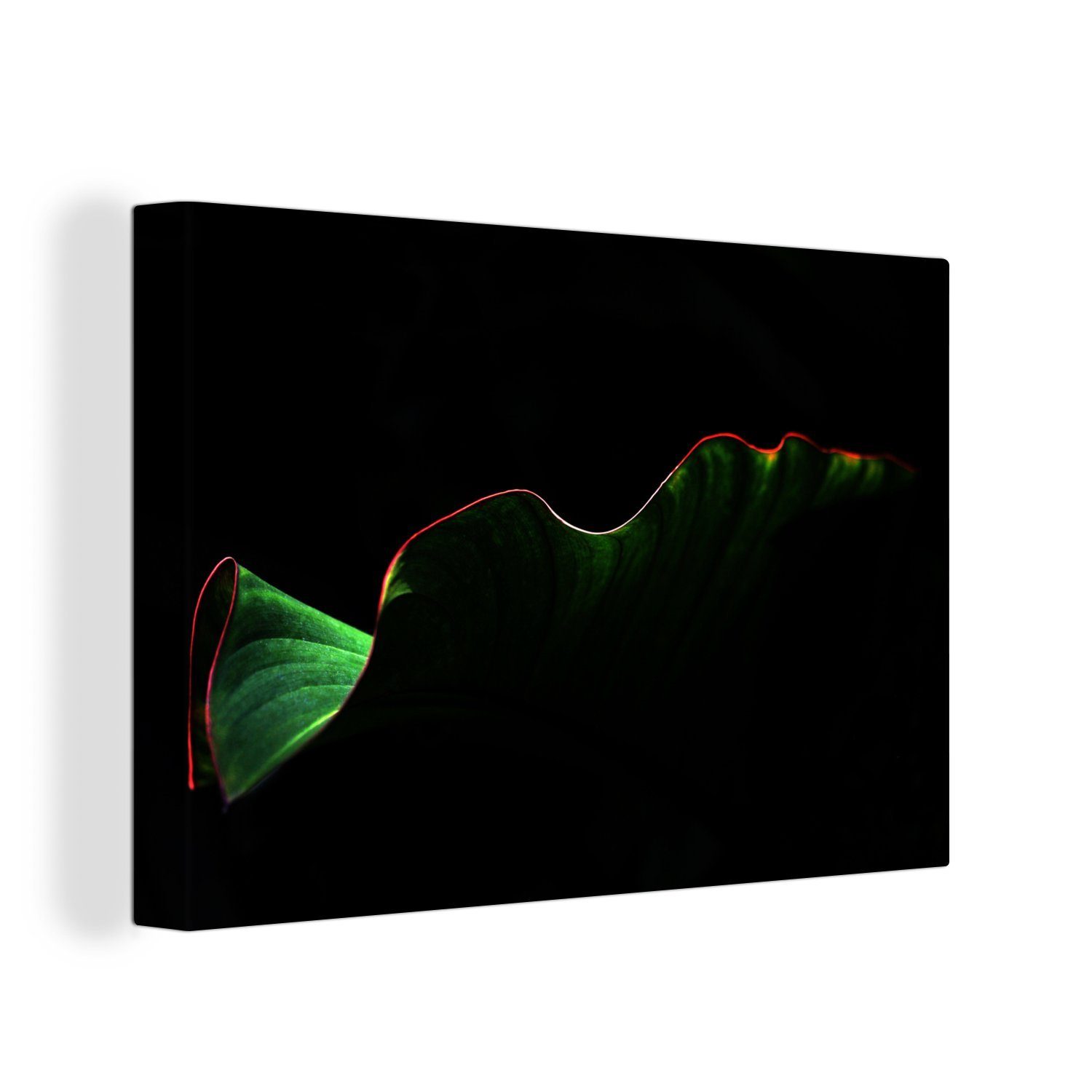 Leinwandbild auf cm Leinwandbilder, Ein roten Blatt Wanddeko, Hintergrund, St), Aufhängefertig, schwarzem tropisches Rändern OneMillionCanvasses® mit (1 30x20 Wandbild