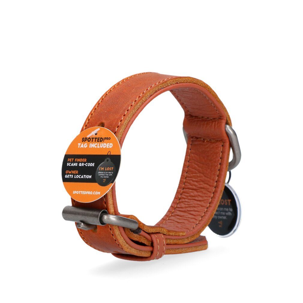 Thumbnail - Spotted! Pro Hunde-Halsband Lederhalsband Cognac 2,5x40cm