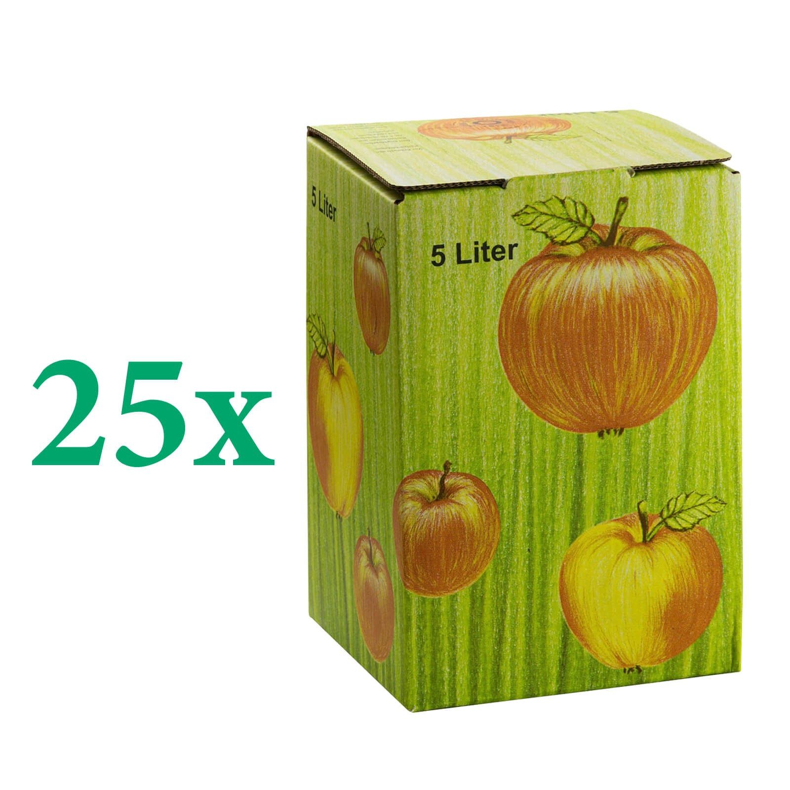 DEMA Entsafter 25x Bag in Box Karton 5L Faltkarton Apfeldekor – Bild 2 von 5
