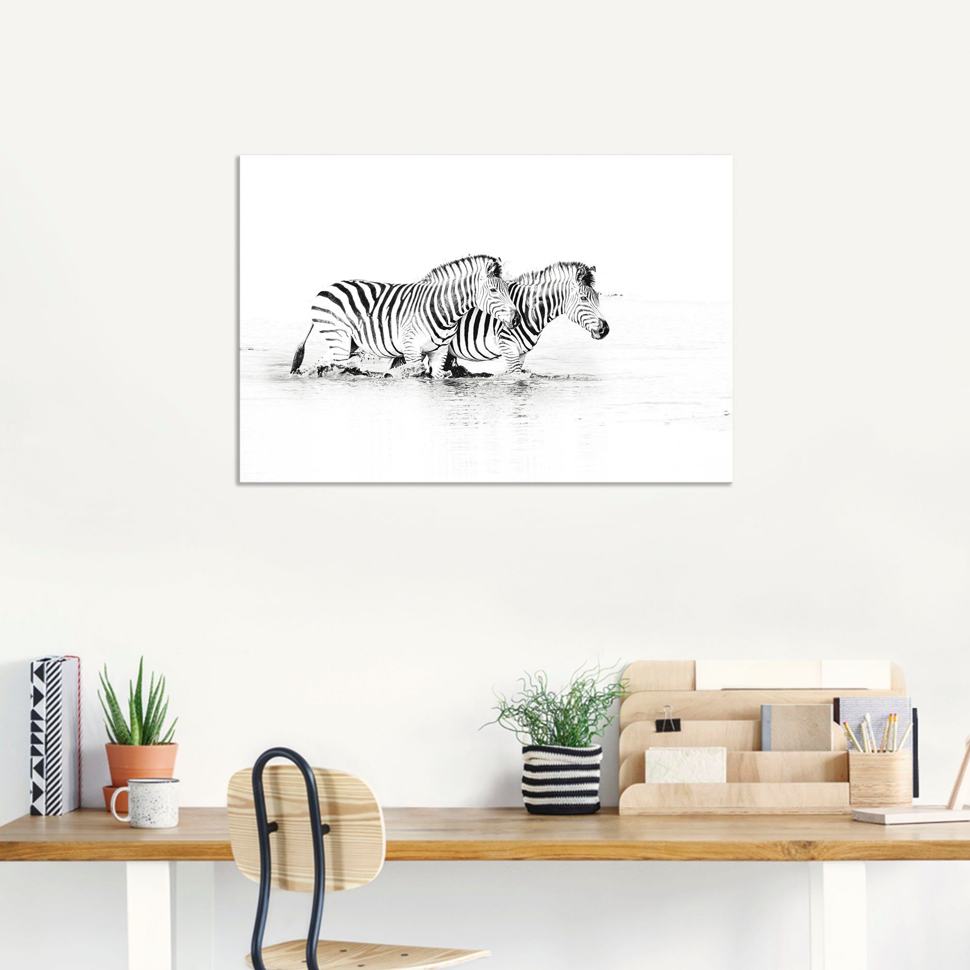 Poster Artland Alubild, Zebra versch. Größen parallel (1 Leinwandbild, Zebras Wasser, St), Wandaufkleber im Wandbild in oder als Bilder