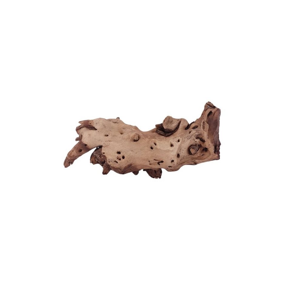 Thumbnail - Aquaone Aquarium L Mopani Wurzel Nr.1207 Holz Deko Aquascaping
