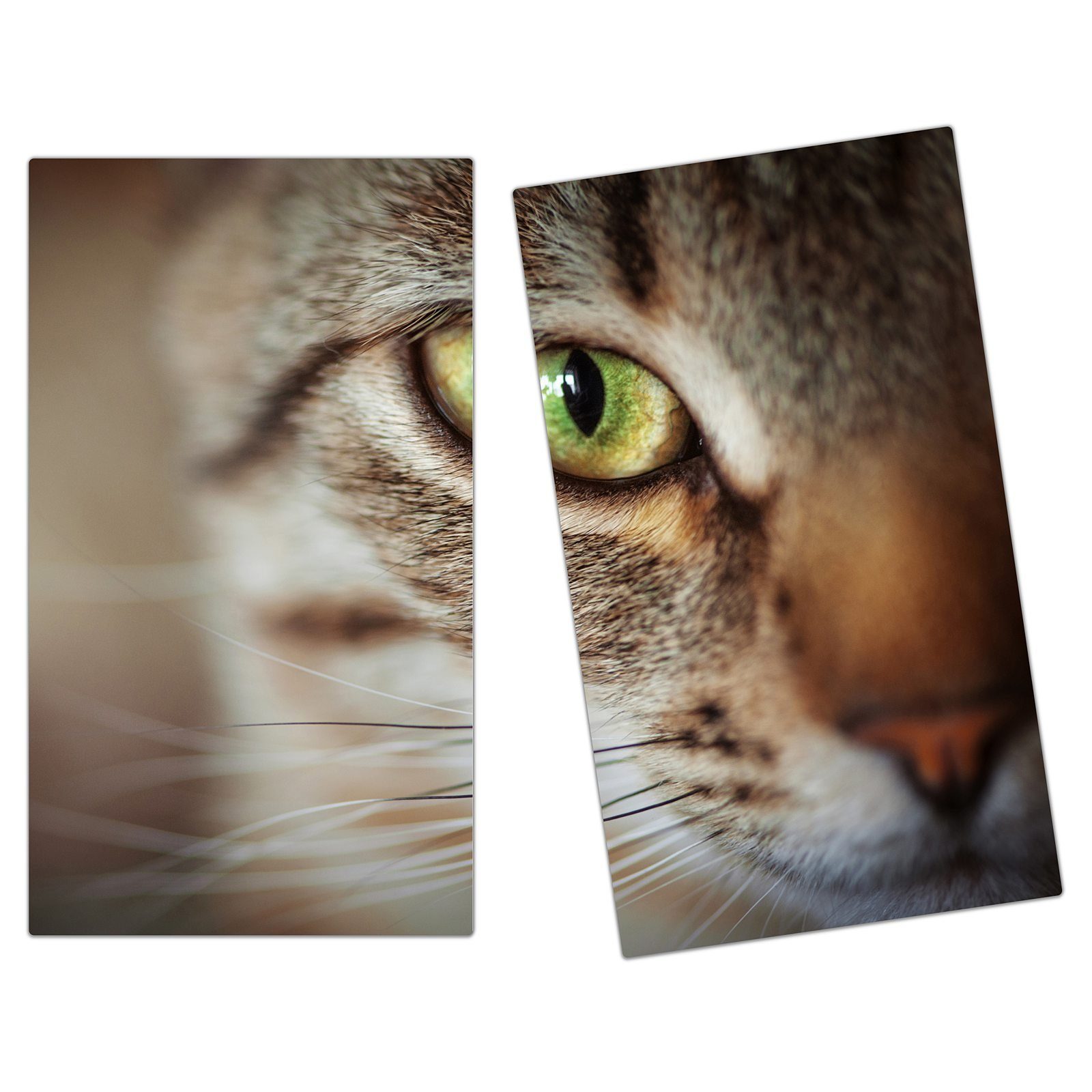 von Glas tlg) Katze, Gesicht aus Primedeco Herdabdeckplatte Herd-Abdeckplatte getigerter Glas, (2 Spritzschutz