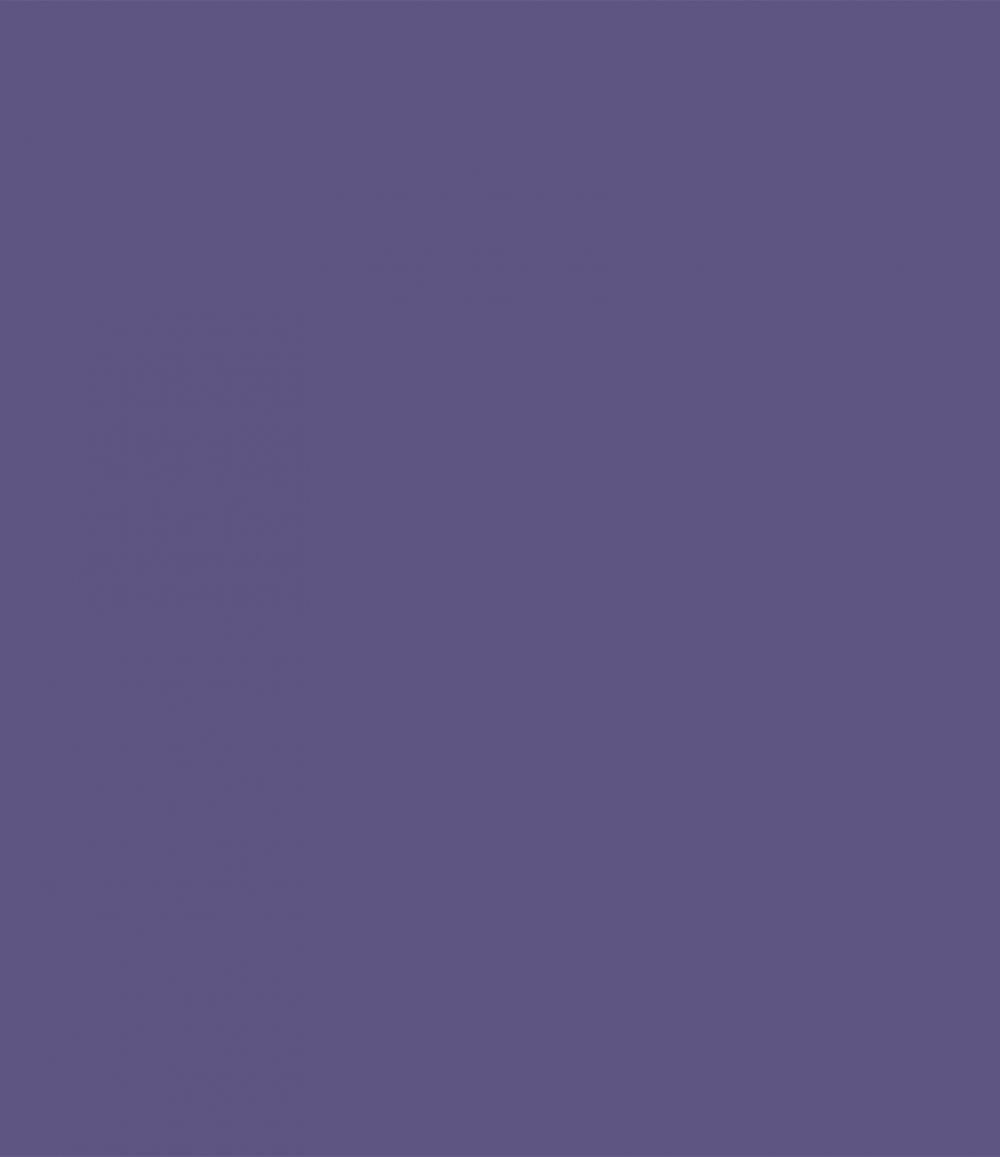 SCHÖNER WOHNEN FARBE Wandfarbe Schöner Wohnen Voll- und Abtönfarbe 250 ml violett