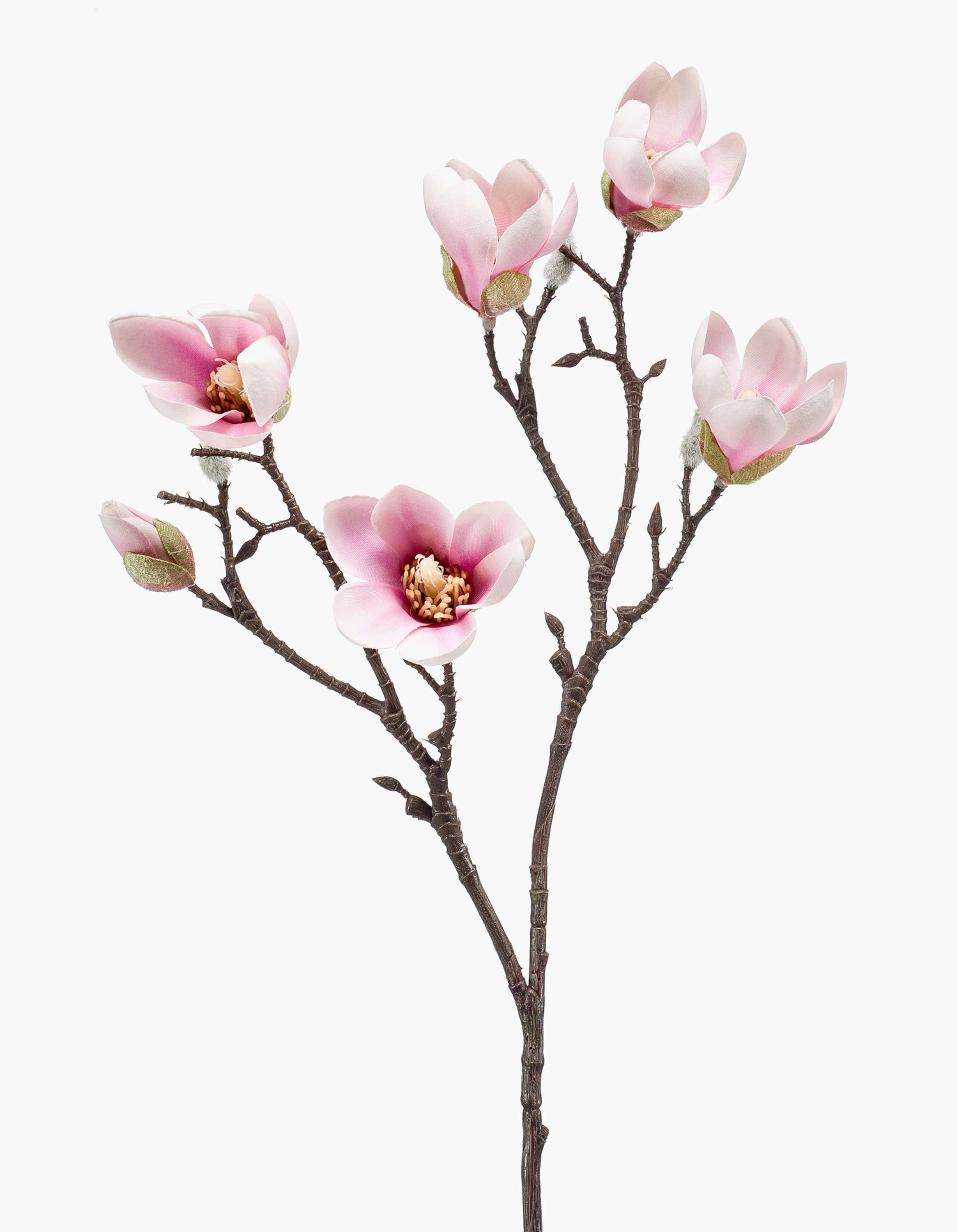 Kunstzweig Künstliche Magnolie ANEU, rosa, 65cm Magnolie, artplants, Höhe 65.0 cm