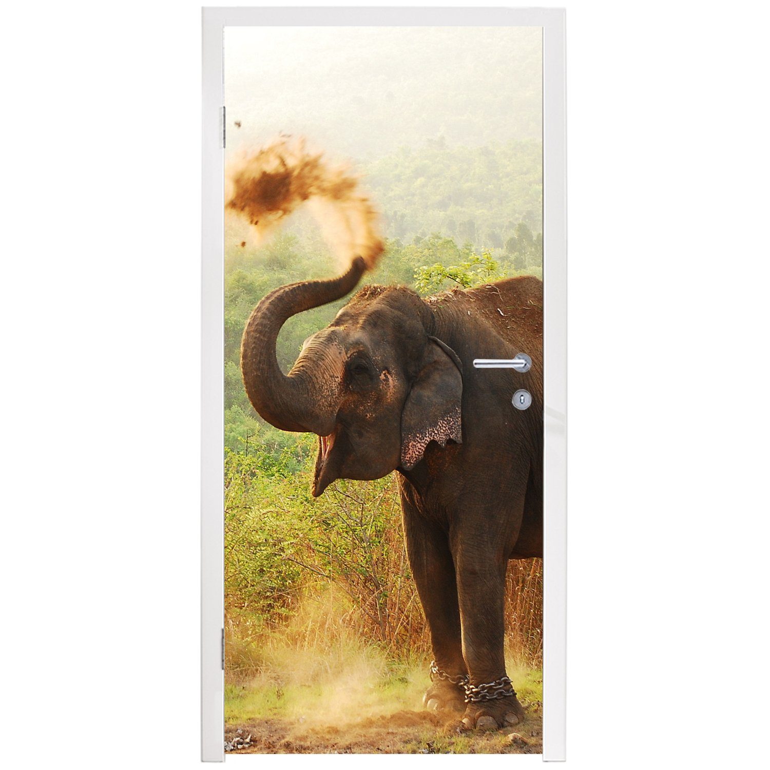 Türaufkleber, - Wald Elefant cm Fototapete für bedruckt, 75x205 Matt, - Tür, St), Türtapete - MuchoWow Bäume, Tiere (1