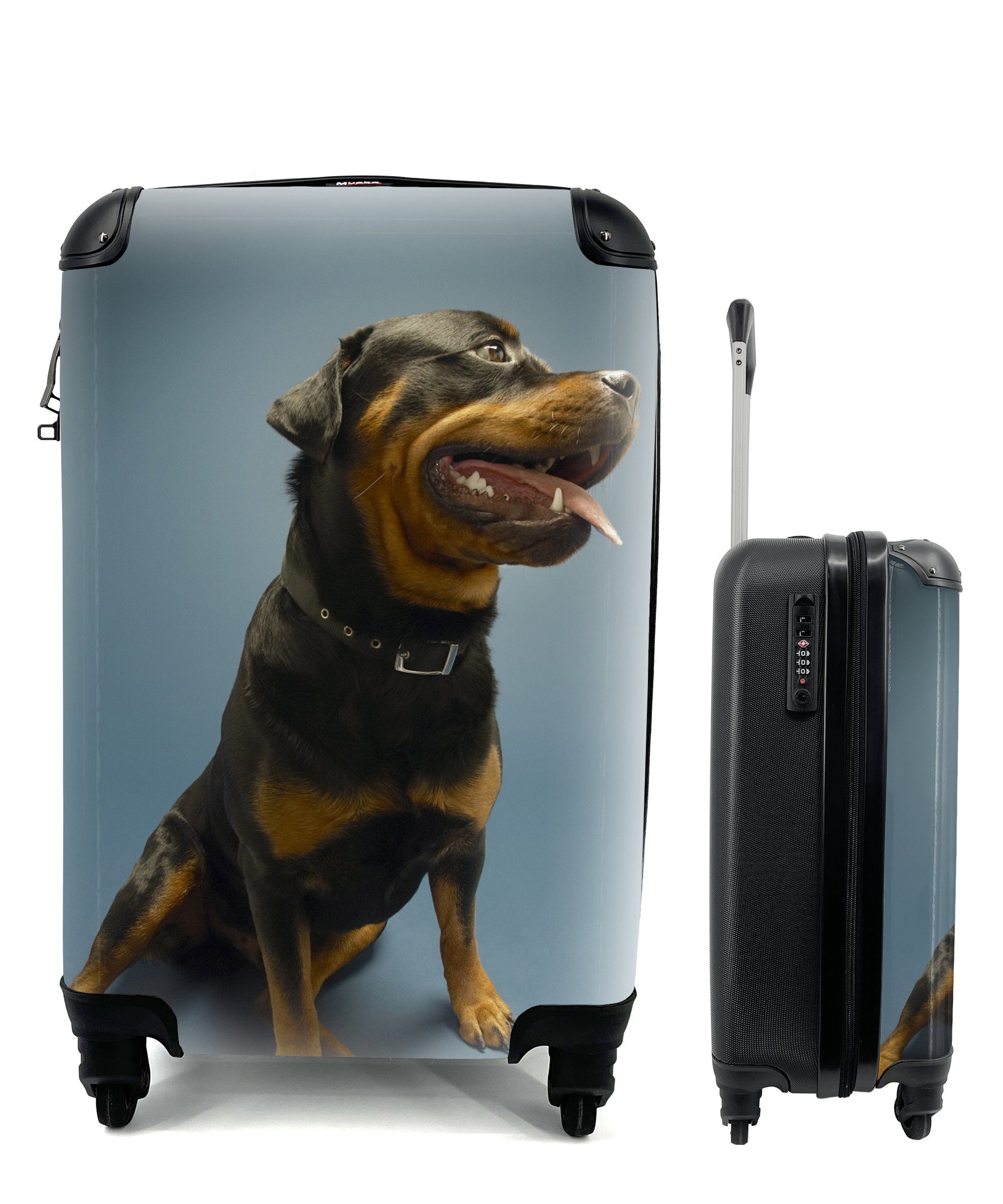 MuchoWow Handgepäckkoffer Studiofoto eines Rottweilers auf blauem Hintergrund, 4 Rollen, Reisetasche mit rollen, Handgepäck für Ferien, Trolley, Reisekoffer