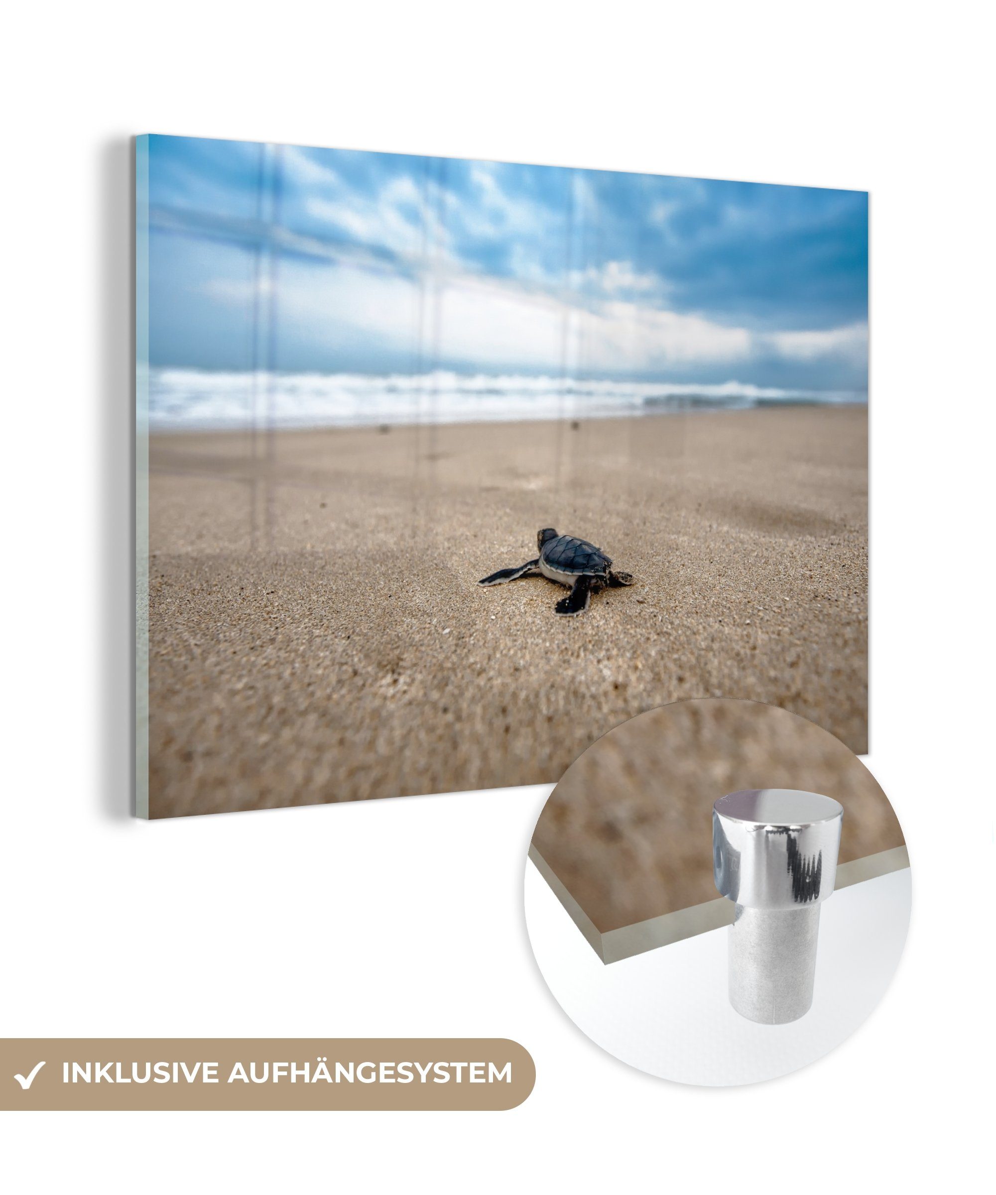 MuchoWow Acrylglasbild Strand - Schlafzimmer Meer & Acrylglasbilder (1 Wohnzimmer Schildkröte, St), 