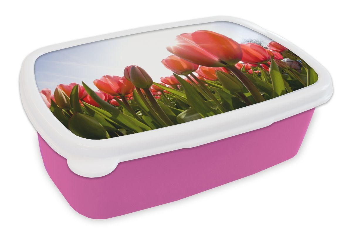 MuchoWow Lunchbox Ein Feld voller roter Tulpen, Kunststoff, (2-tlg), Brotbox für Erwachsene, Brotdose Kinder, Snackbox, Mädchen, Kunststoff rosa | Lunchboxen