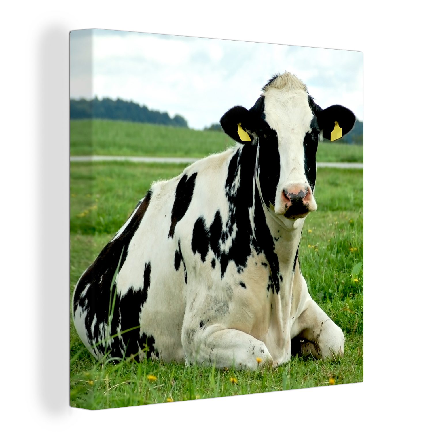 OneMillionCanvasses® Leinwandbild Kuh - Gras - Tiere - Berg, (1 St), Leinwand Bilder für Wohnzimmer Schlafzimmer | Leinwandbilder