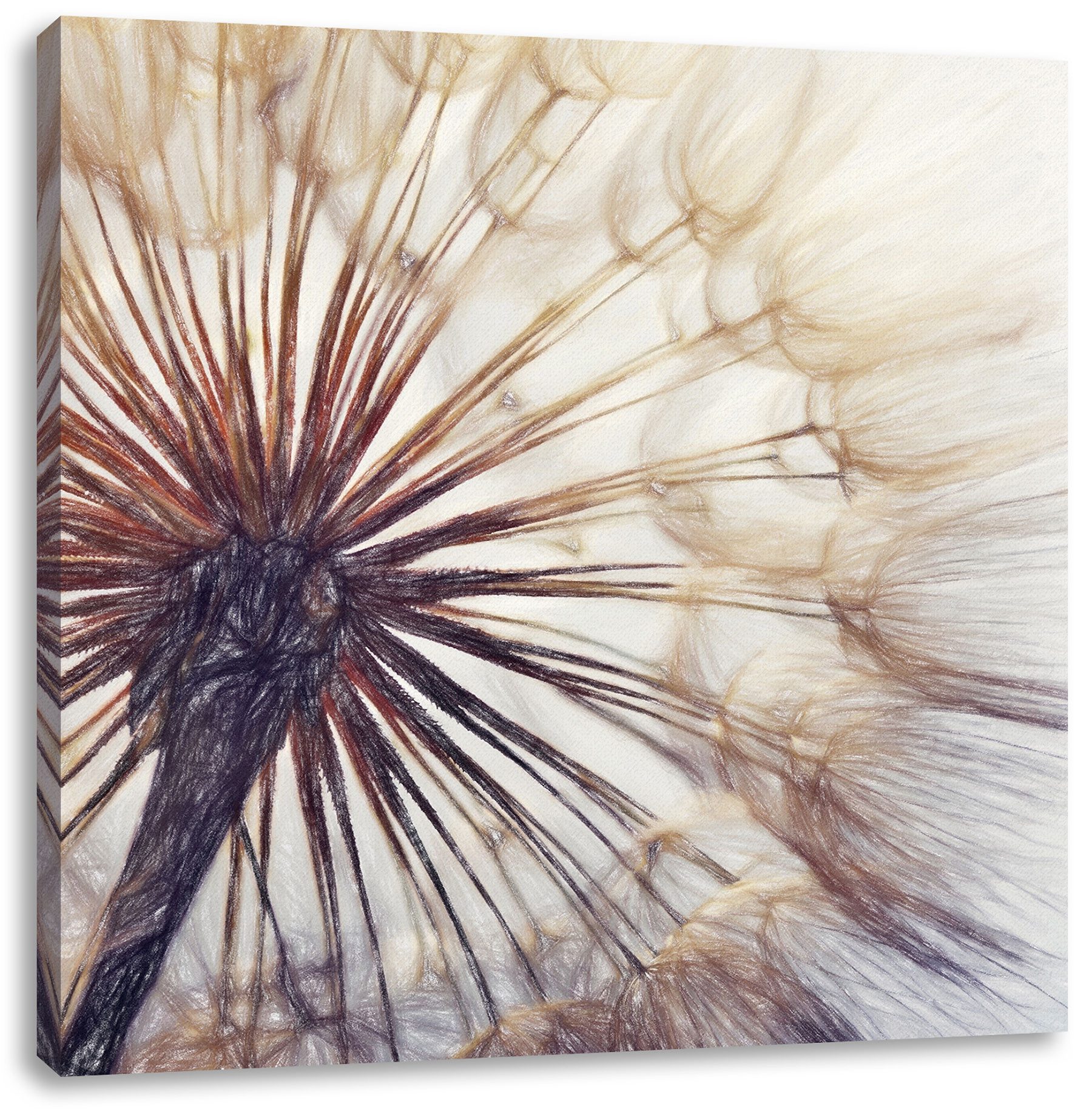 Pixxprint Leinwandbild Schöne Pusteblume, Schöne Pusteblume (1 St), Leinwandbild fertig bespannt, inkl. Zackenaufhänger