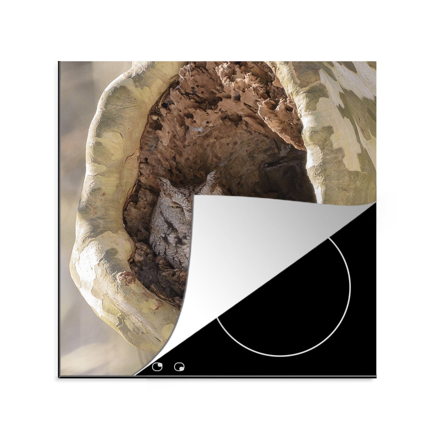 MuchoWow Herdblende-/Abdeckplatte Steinkauz rastet in einem hohlen Baum, Vinyl, (1 tlg), 78x78 cm, Ceranfeldabdeckung, Arbeitsplatte für küche