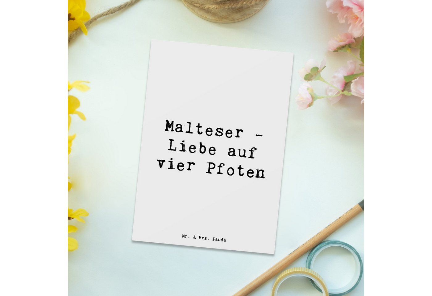Thumbnail - Mr. & Mrs. Panda Postkarte Spruch Malteser Liebe - Weiß - Geschenk, bedingungslose Liebe, Karte