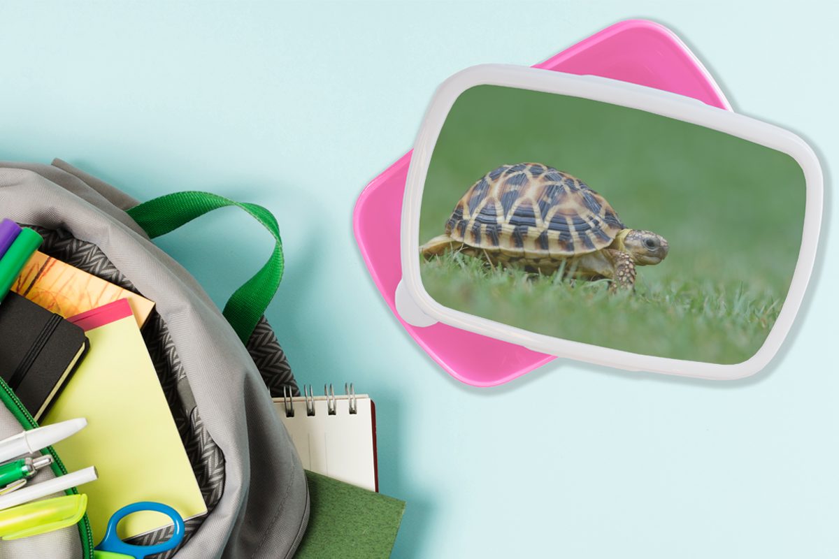 MuchoWow Lunchbox Schildkröte im Kinder, Mädchen, Brotdose Kunststoff Kunststoff, rosa (2-tlg), Snackbox, für Brotbox Gras, Erwachsene