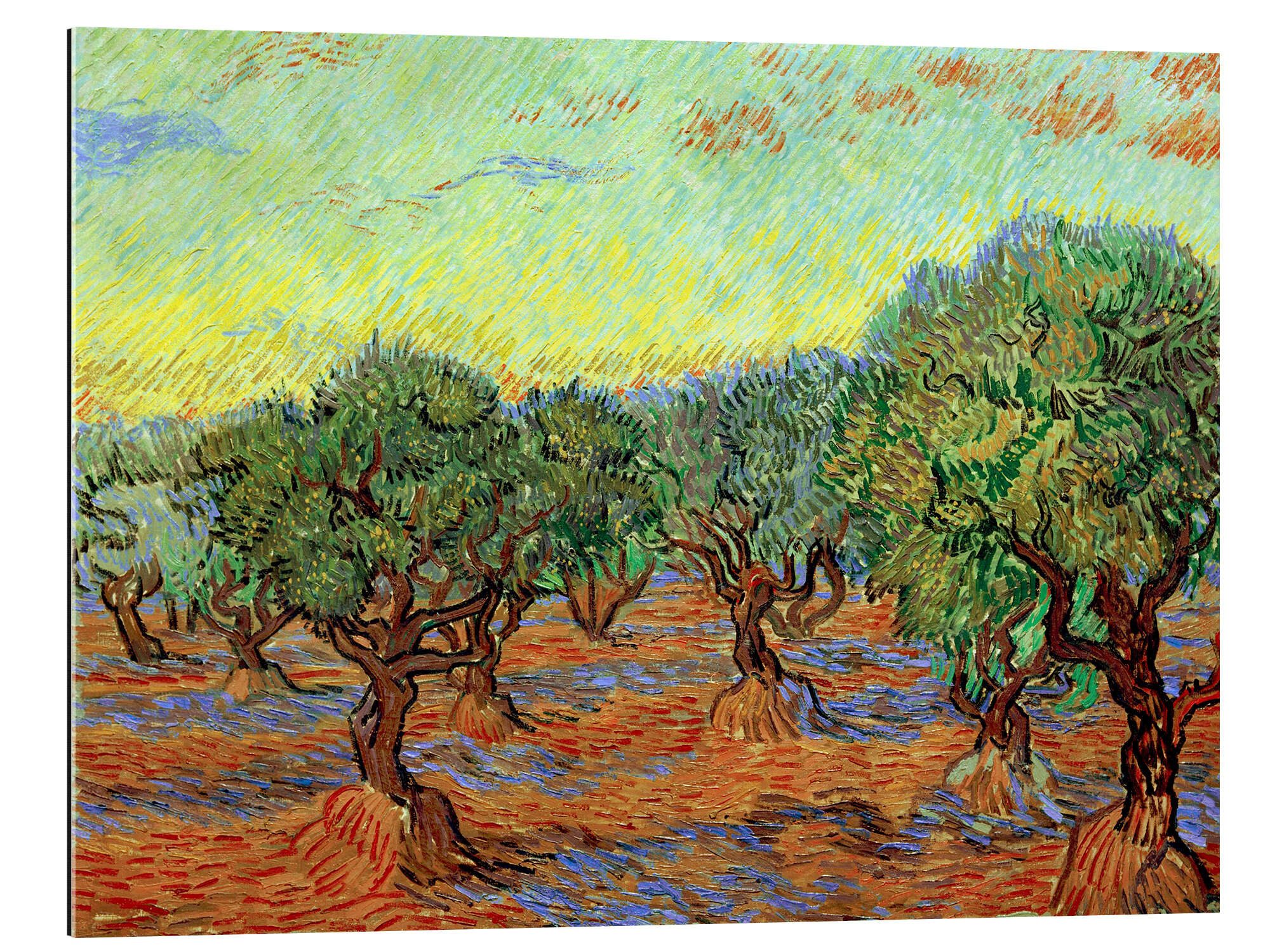 Posterlounge XXL-Wandbild Vincent van Gogh, Olivenhain II, Wohnzimmer Mediterran Malerei