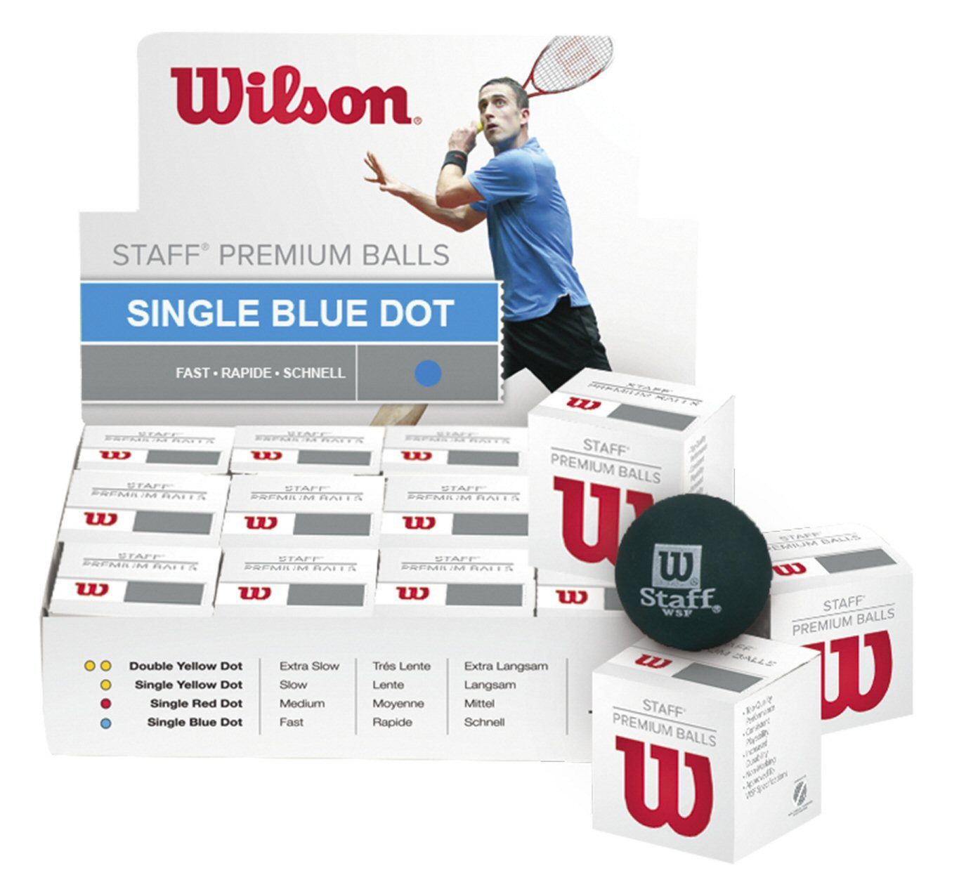Wilson Squashball Staff (blauer Punkt, Speed schnell) schwarz - 1 Ball