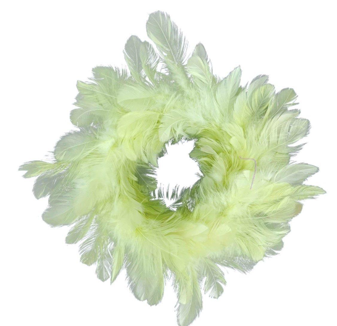 Exner GmbH Garten- & Wohnaccessoires Dekokranz Federkranz Hellgrün Ostern Deko Frühling 25 cm